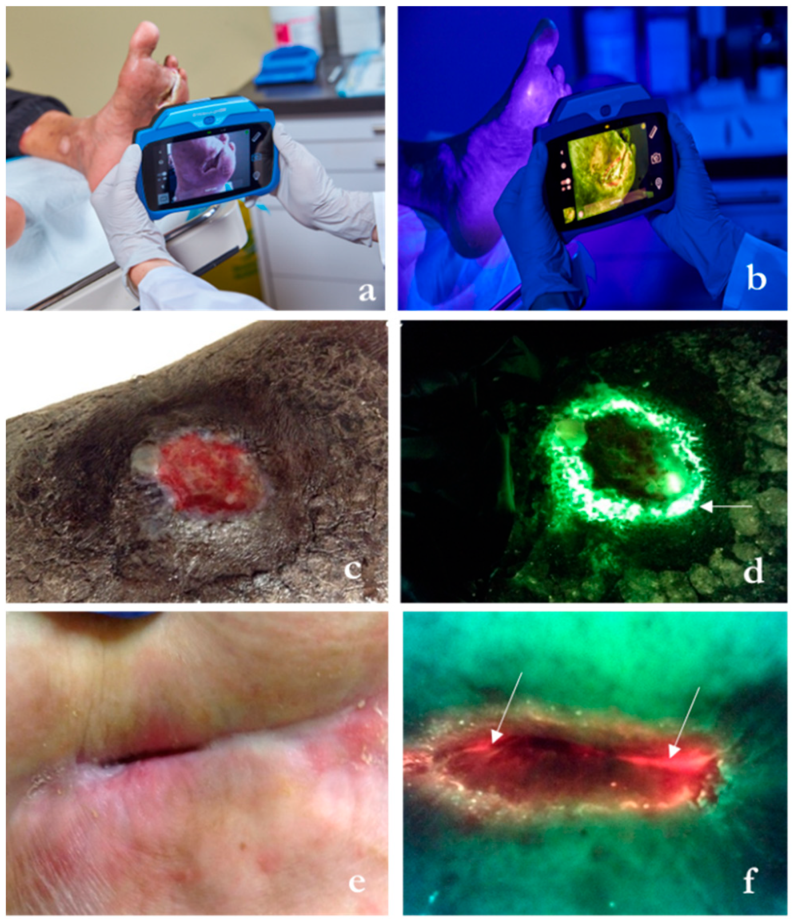 Diagnostics 14 02034 g003