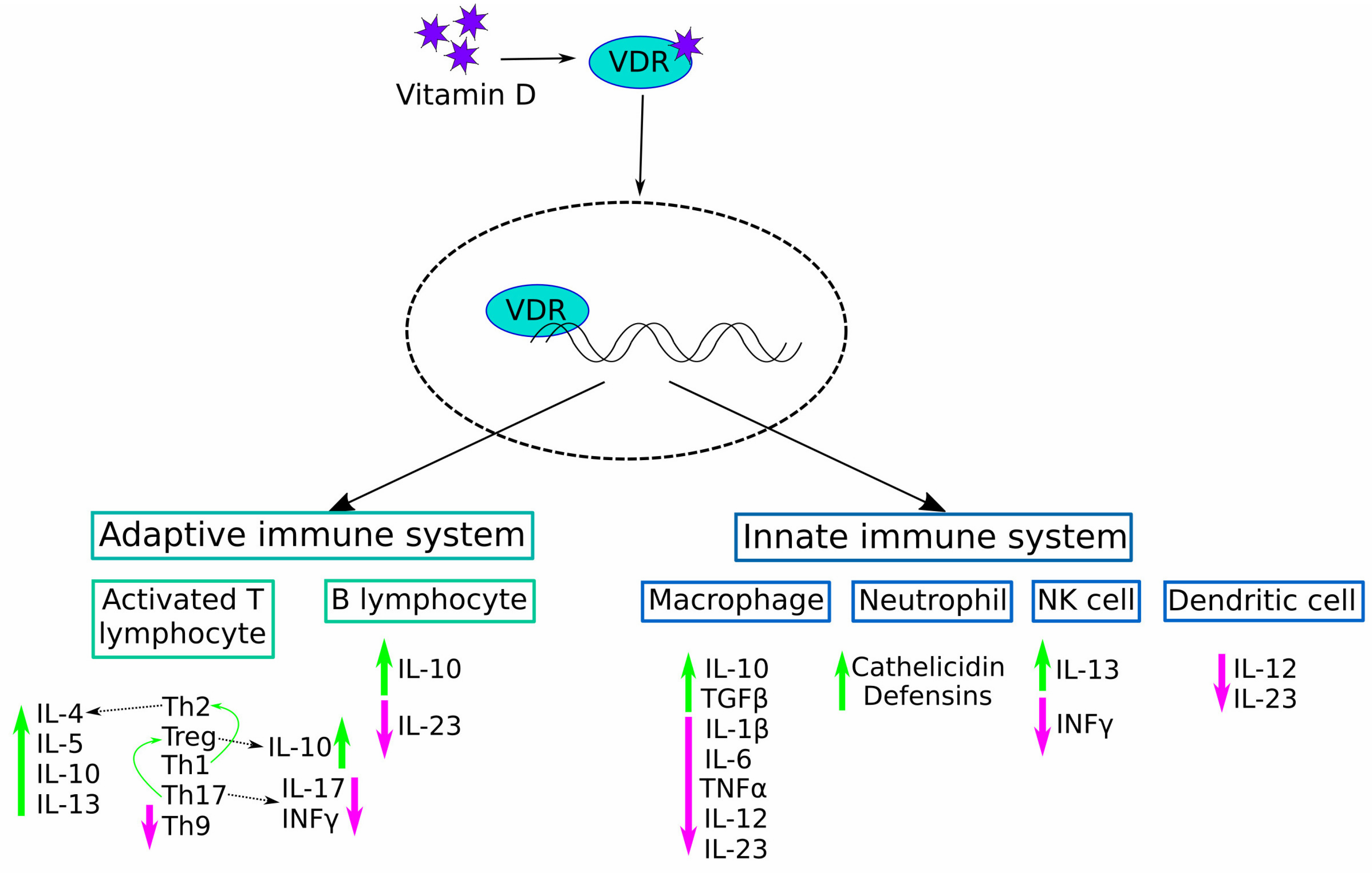 Diagnostics 14 02035 g001 Diagnostics 14 02035 g001