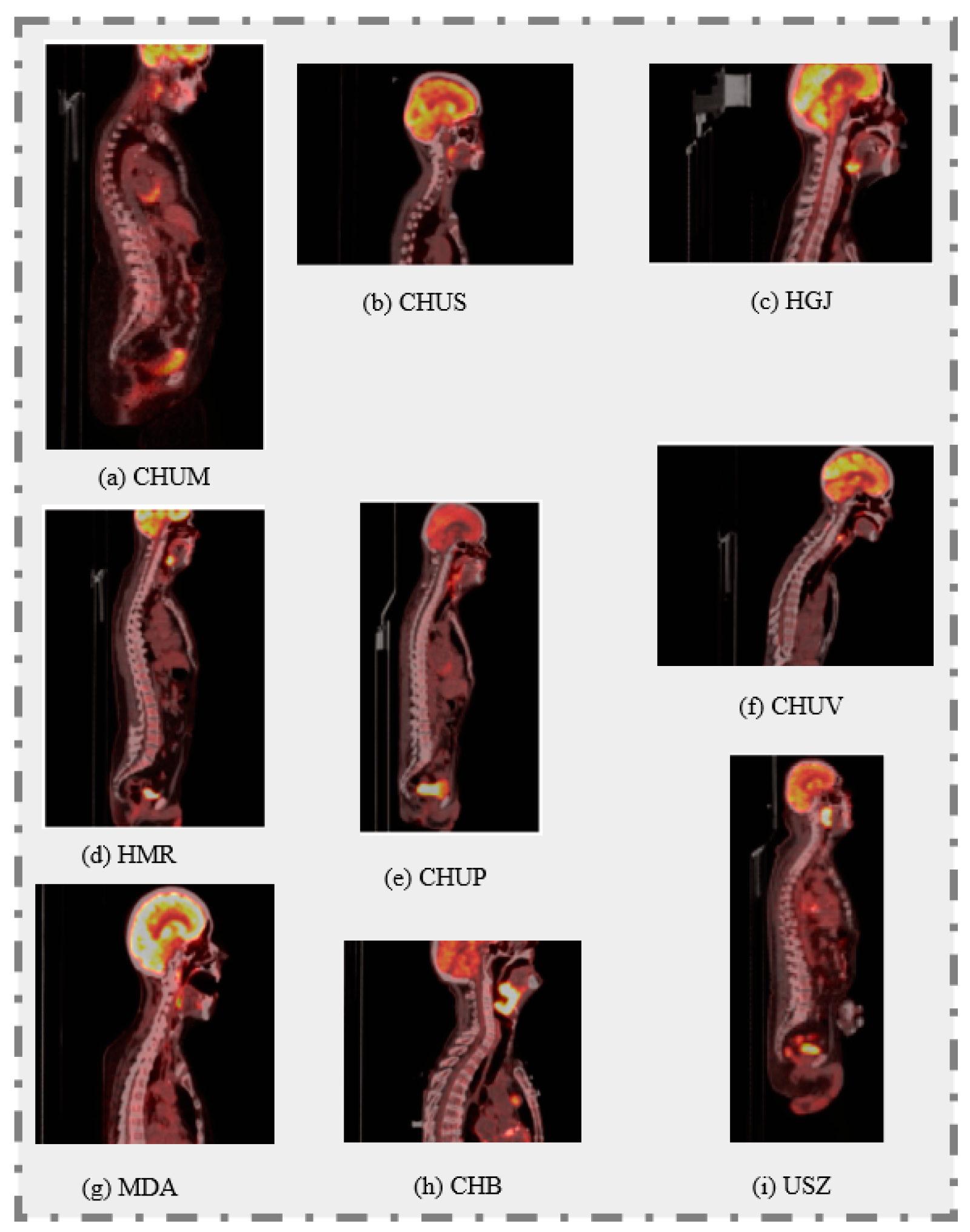 Diagnostics 14 02038 g001