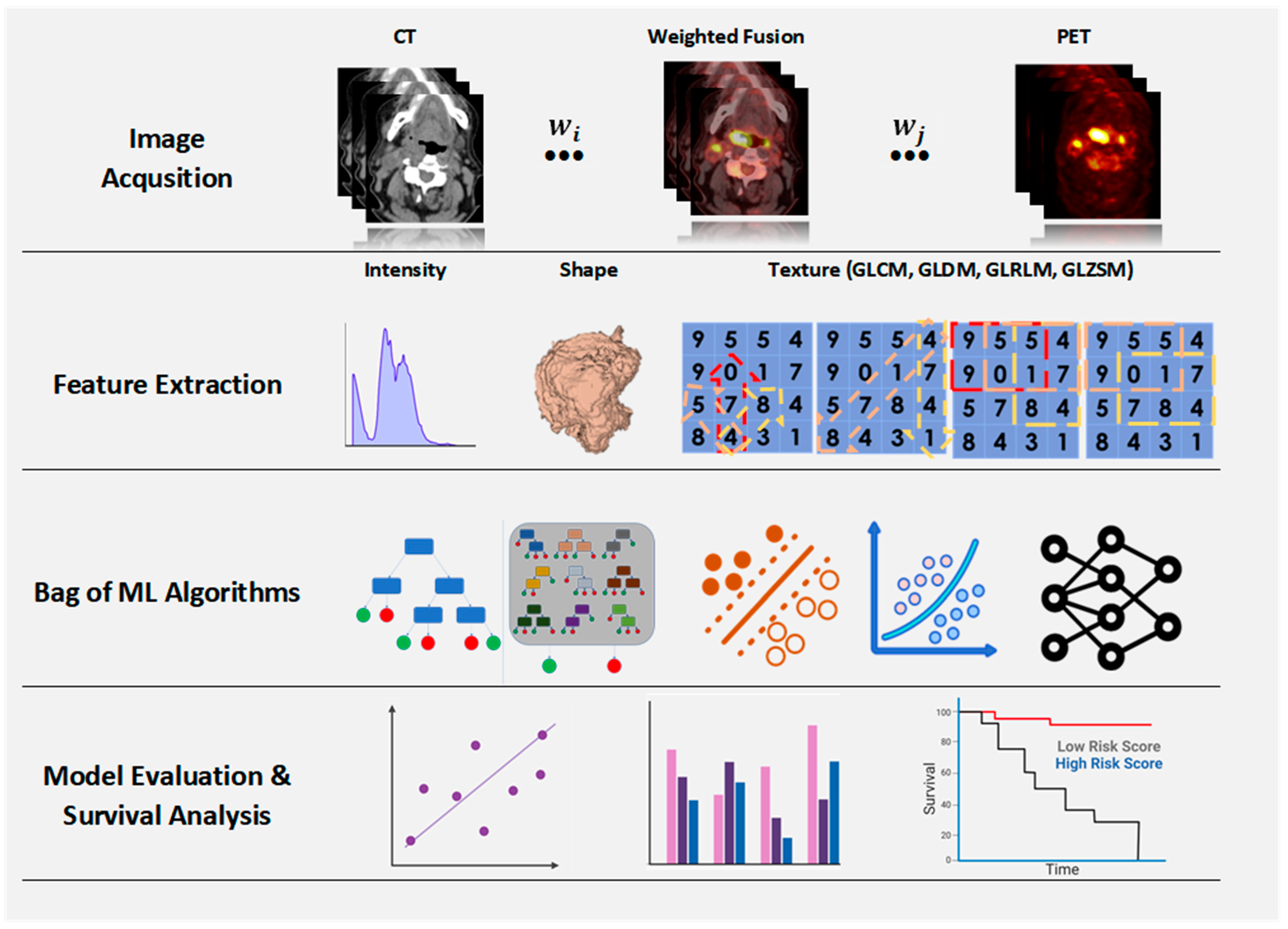 Diagnostics 14 02038 g002