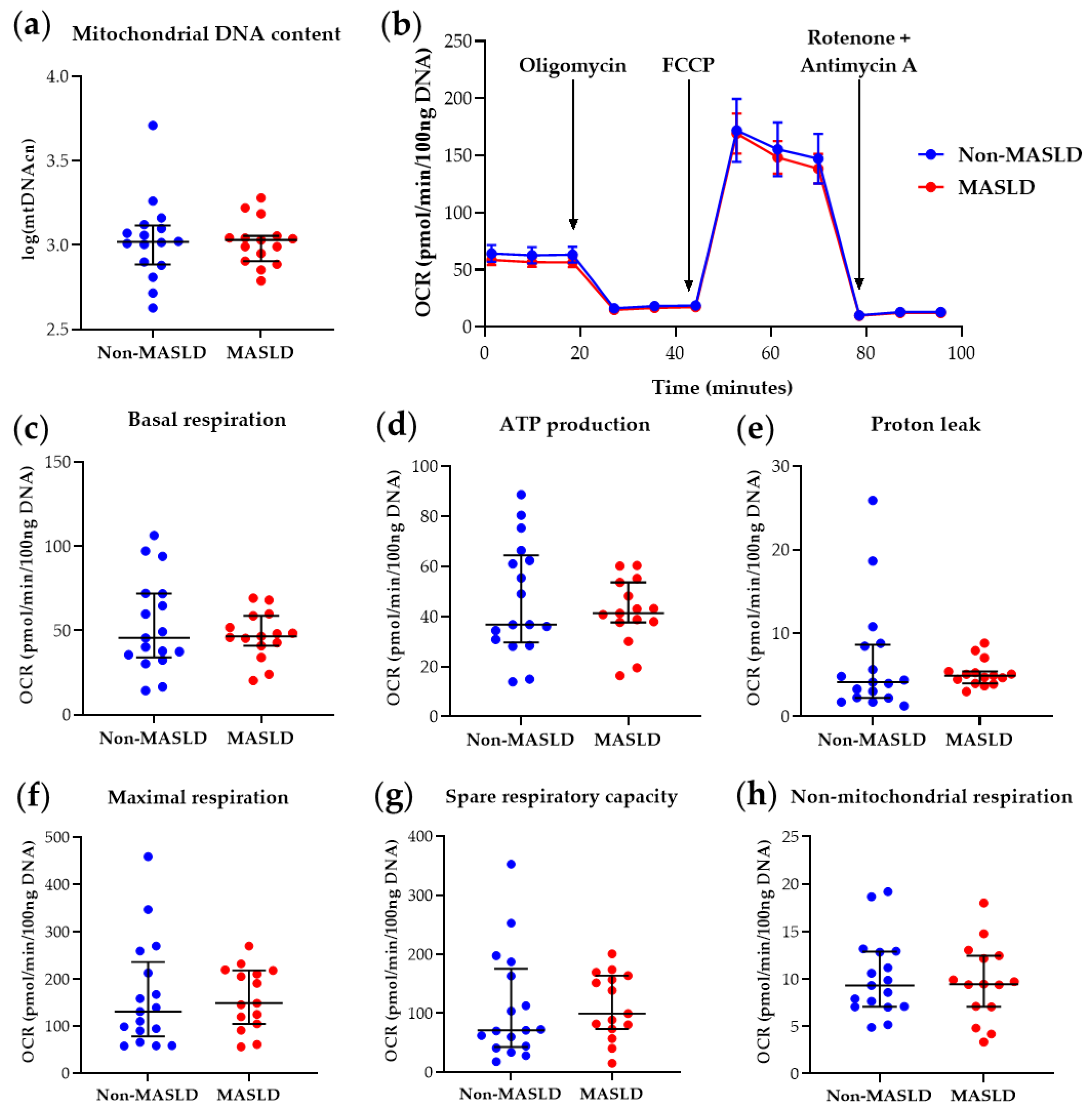 Diagnostics 14 02041 g002