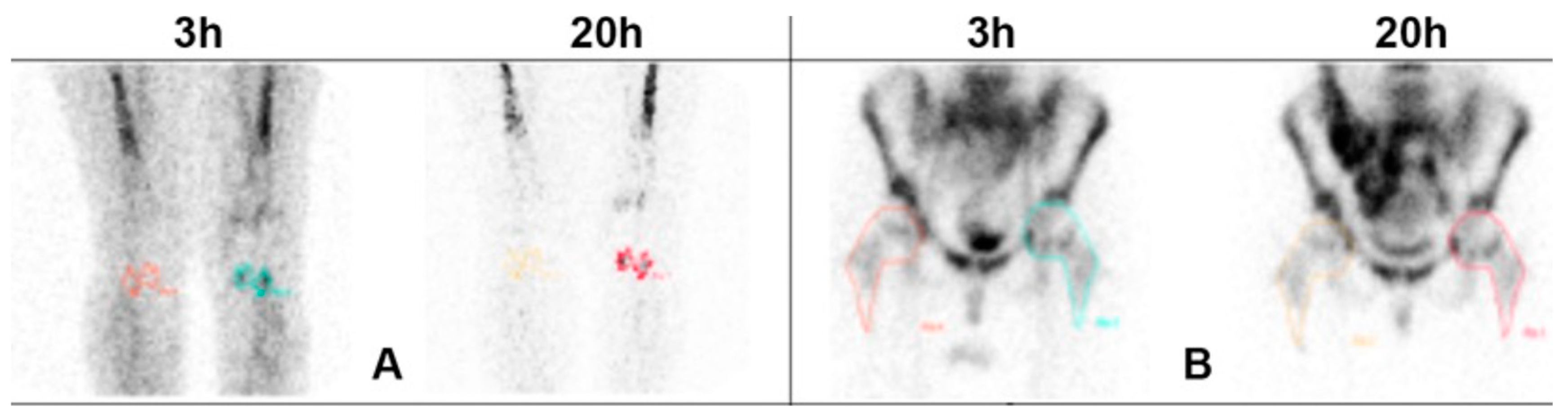 Diagnostics 14 02043 g001