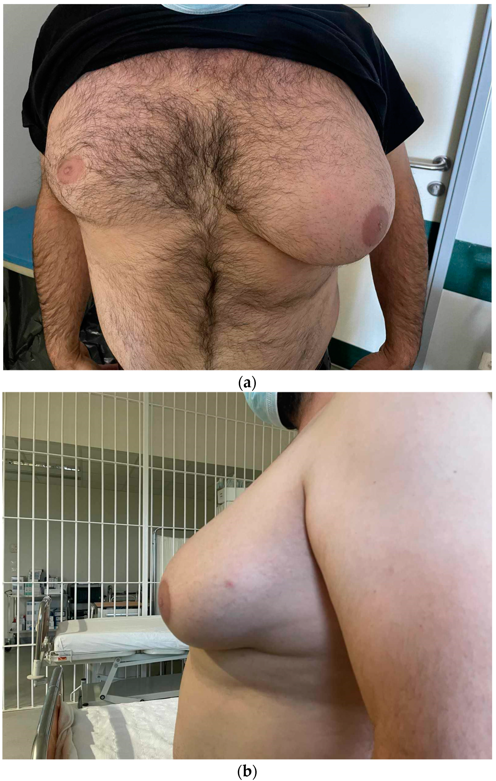 Diagnostics 14 02058 g001