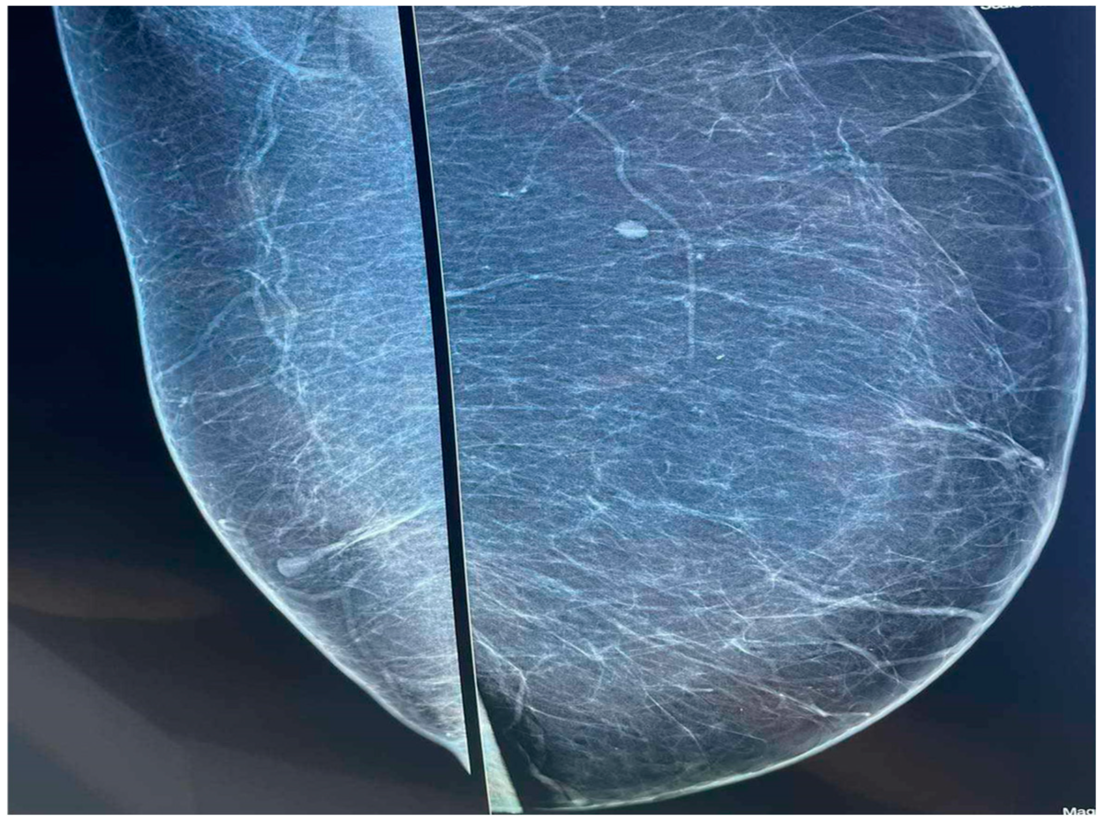 Diagnostics 14 02058 g002