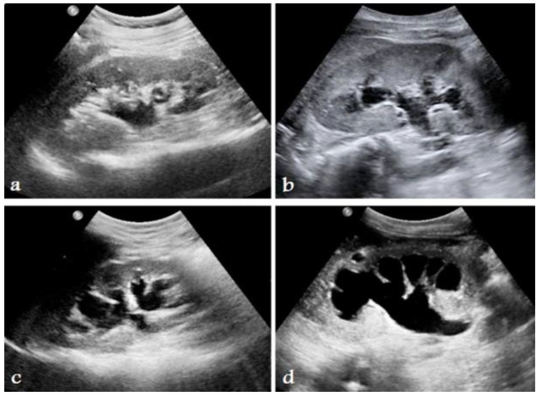 Diagnostics 14 02059 g004 Diagnostics 14 02059 g004