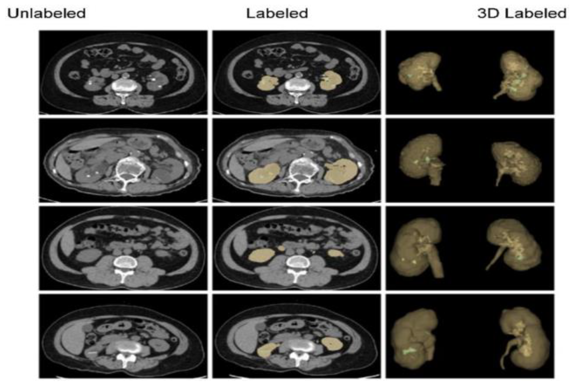Diagnostics 14 02059 g006 Diagnostics 14 02059 g006