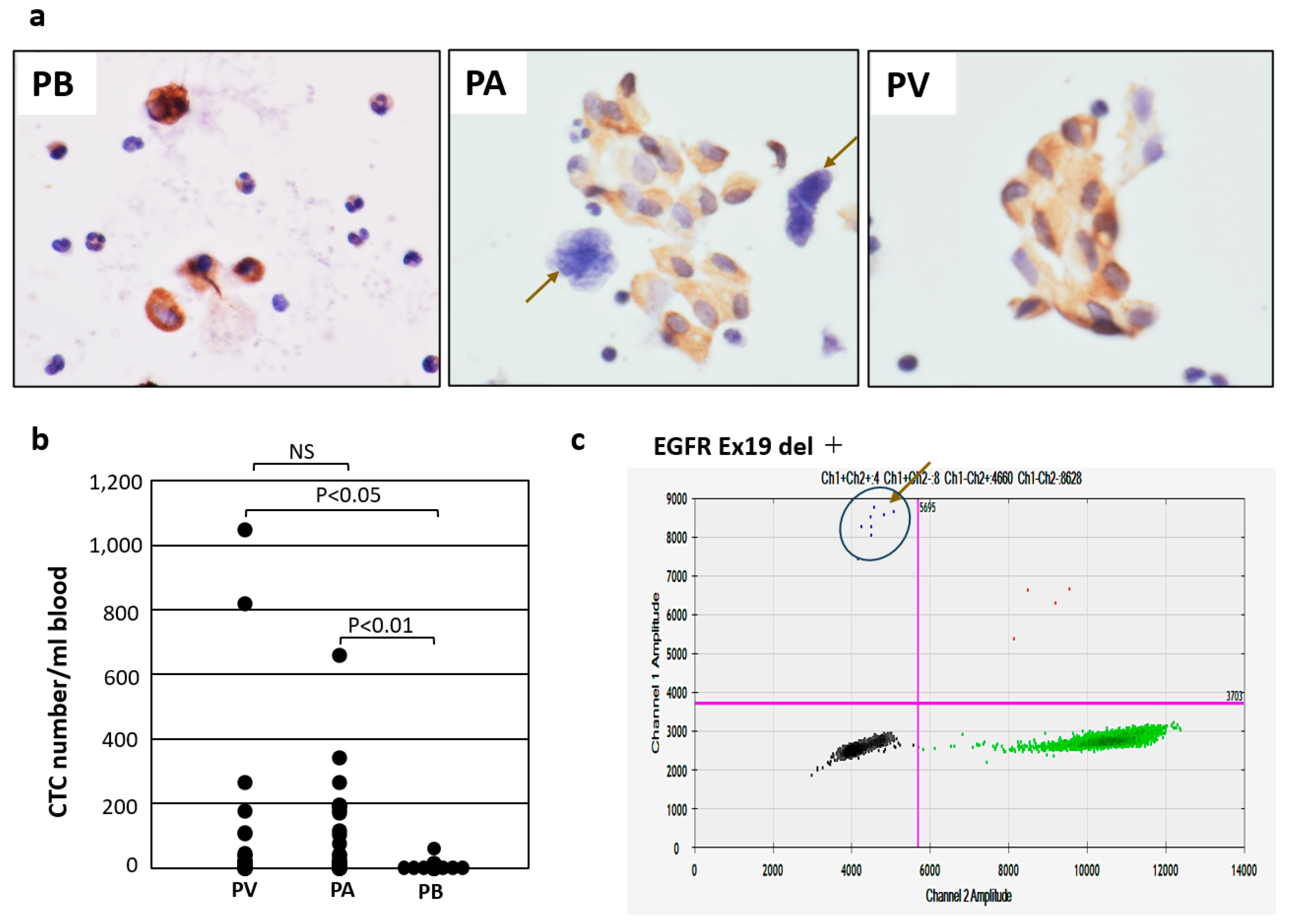 Diagnostics 14 02064 g002