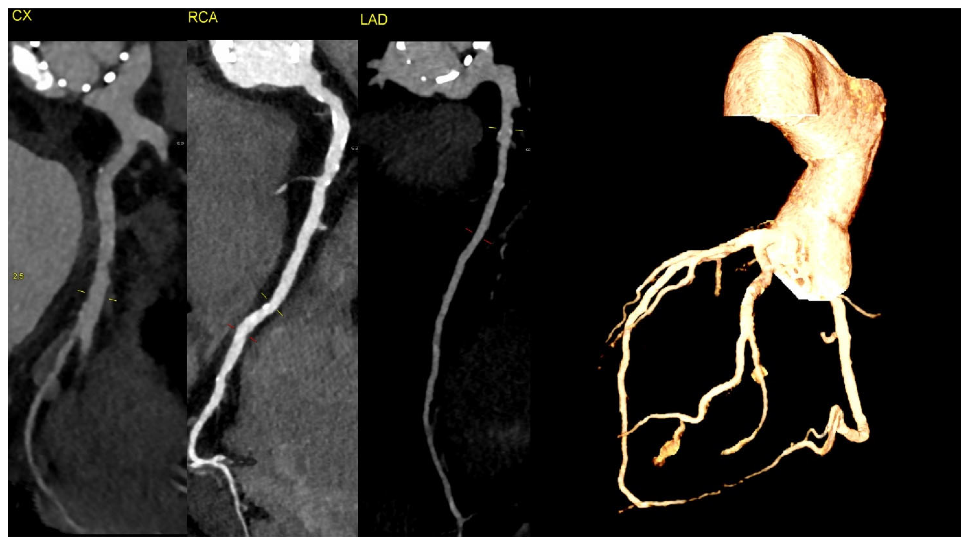 Diagnostics 14 02070 g003