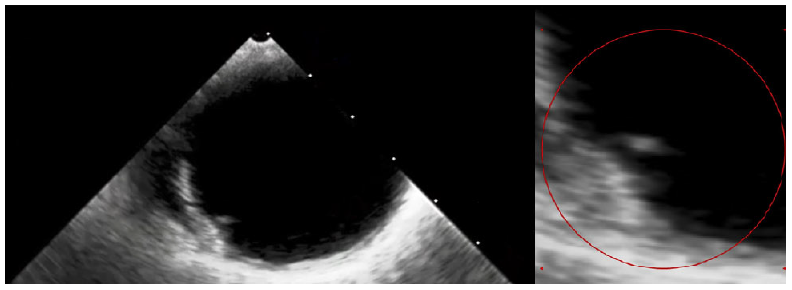 Diagnostics 14 02070 g005