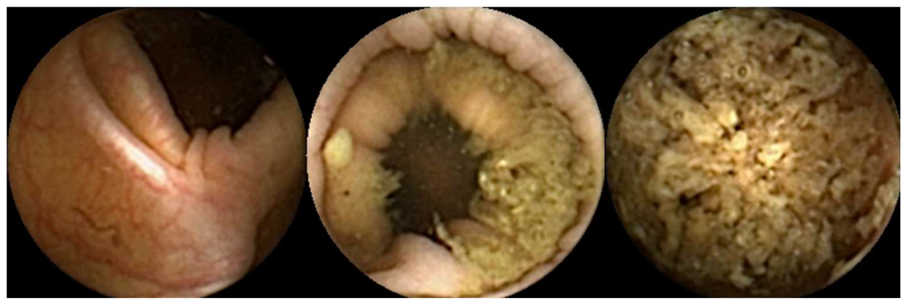 Diagnostics 14 02072 g003