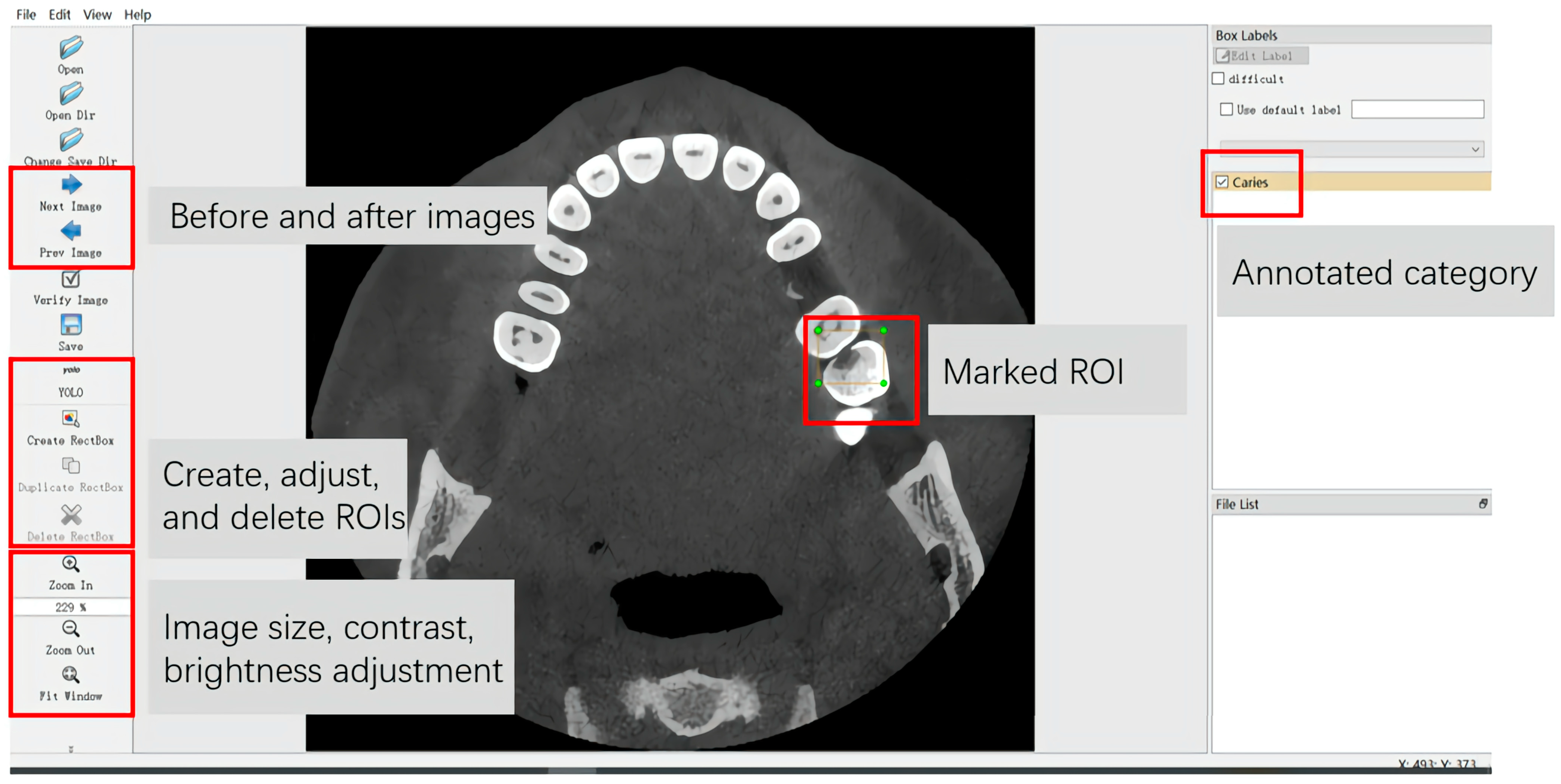 Diagnostics 14 02080 g003