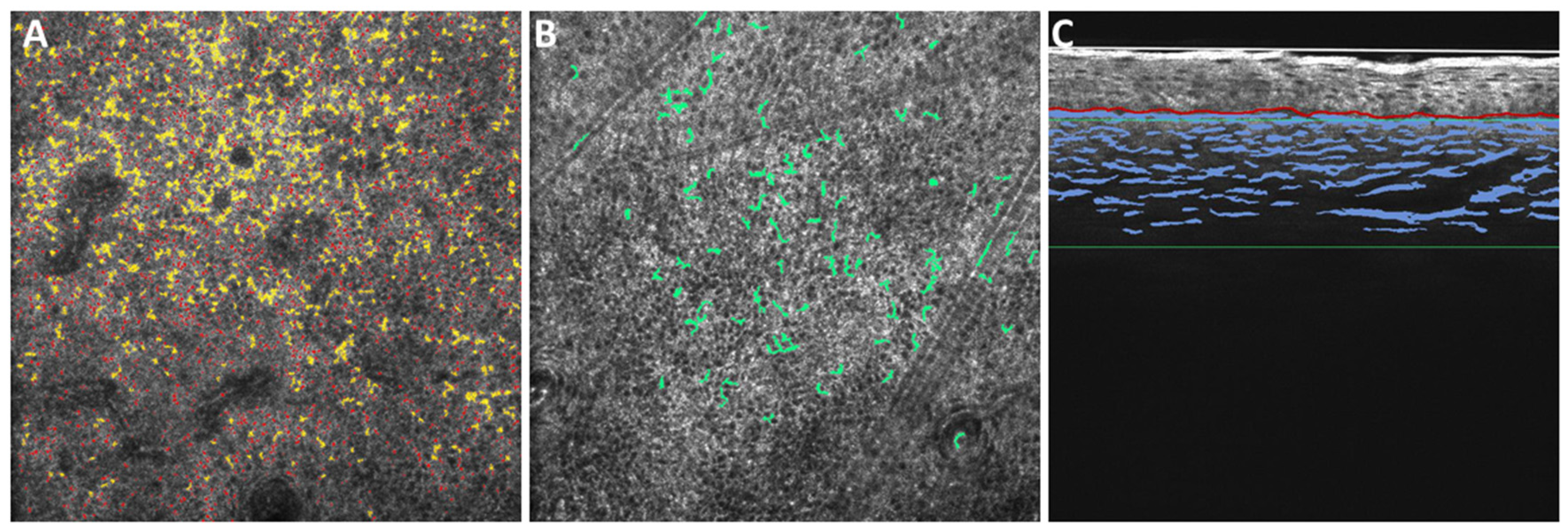 Diagnostics 14 02083 g001