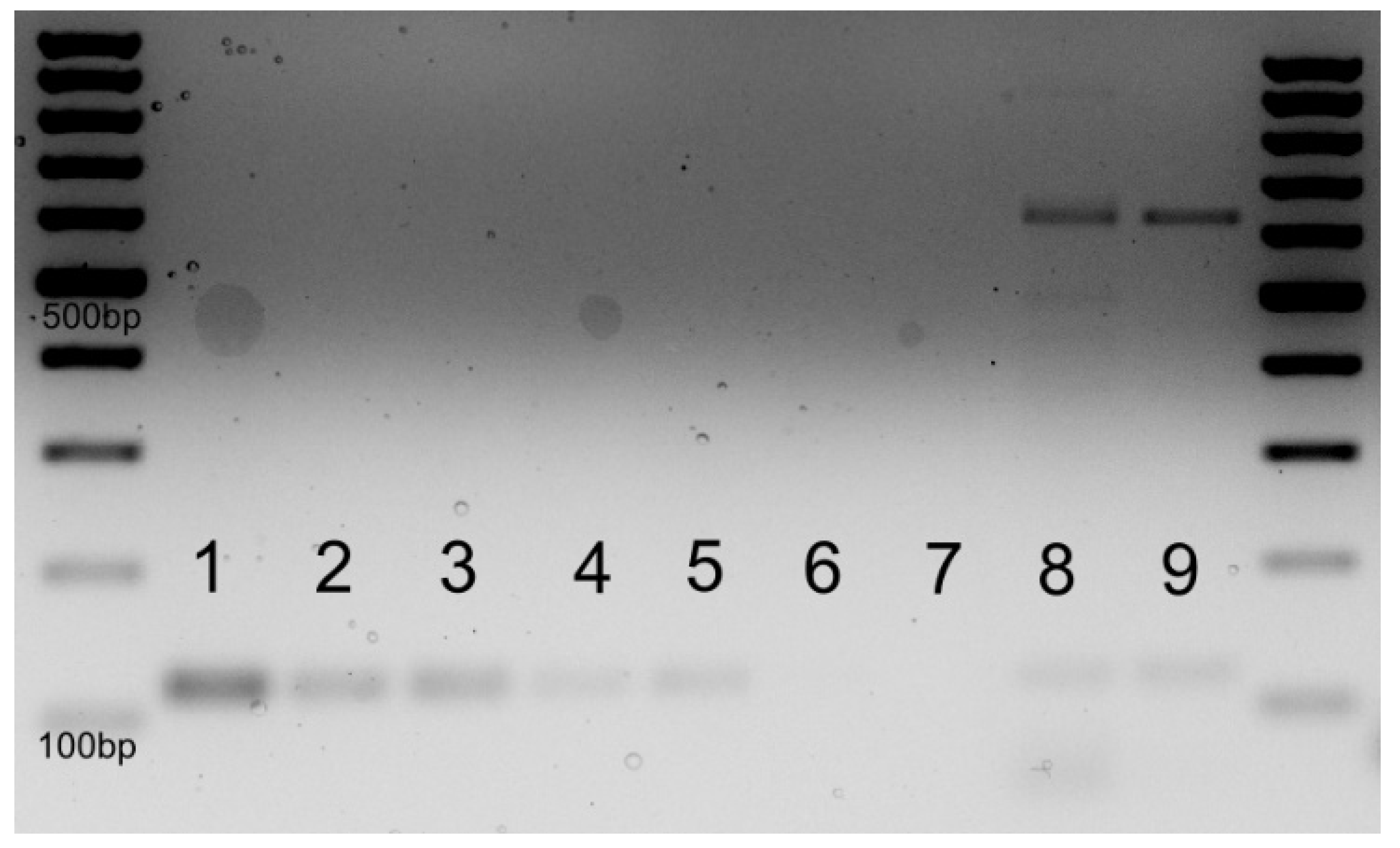 Diagnostics 14 02084 g002