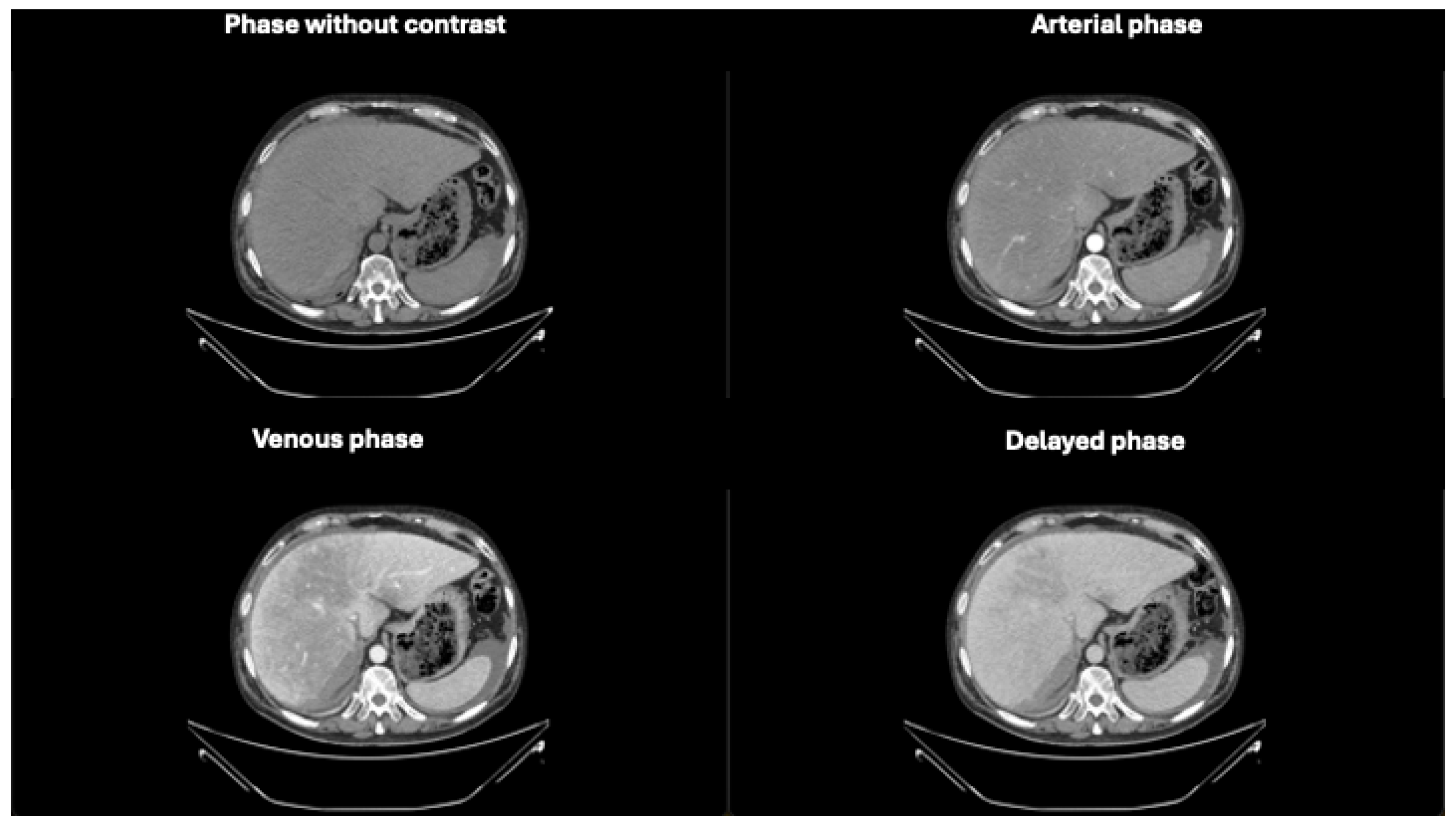 Diagnostics 14 02088 g001