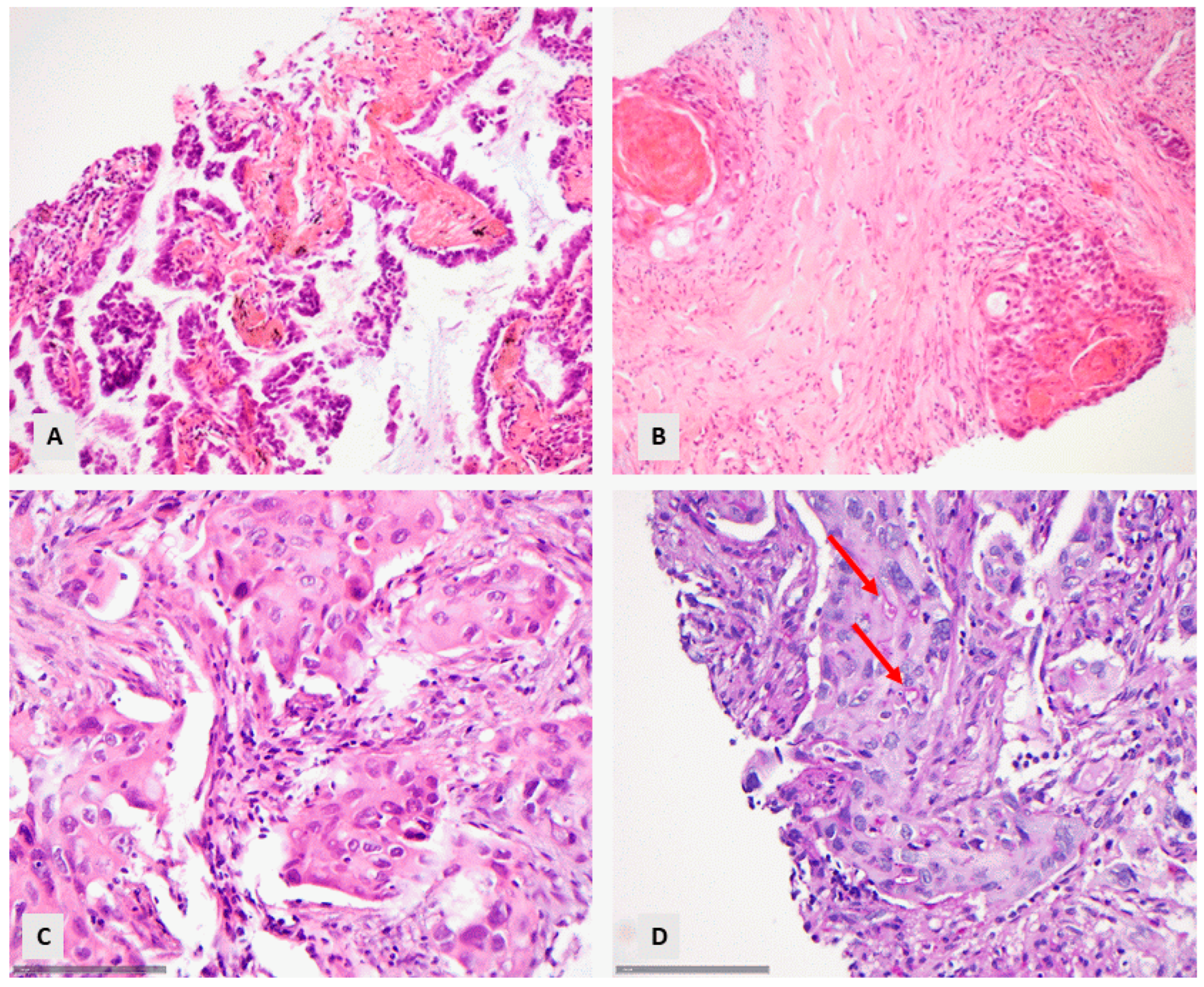 Diagnostics 14 02090 g001