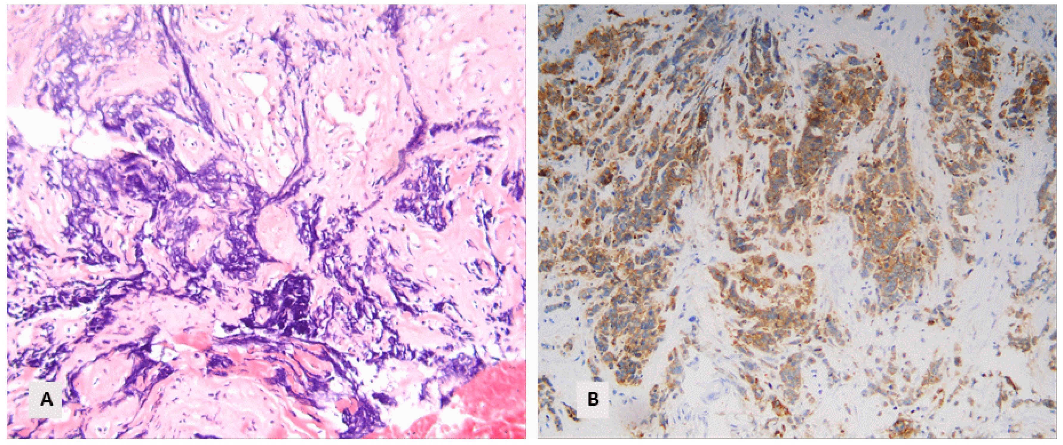 Diagnostics 14 02090 g002