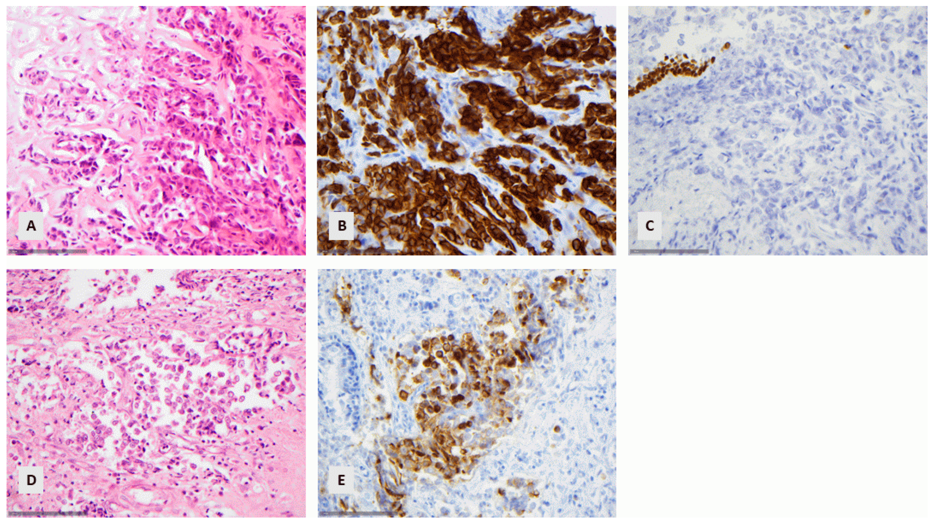 Diagnostics 14 02090 g004