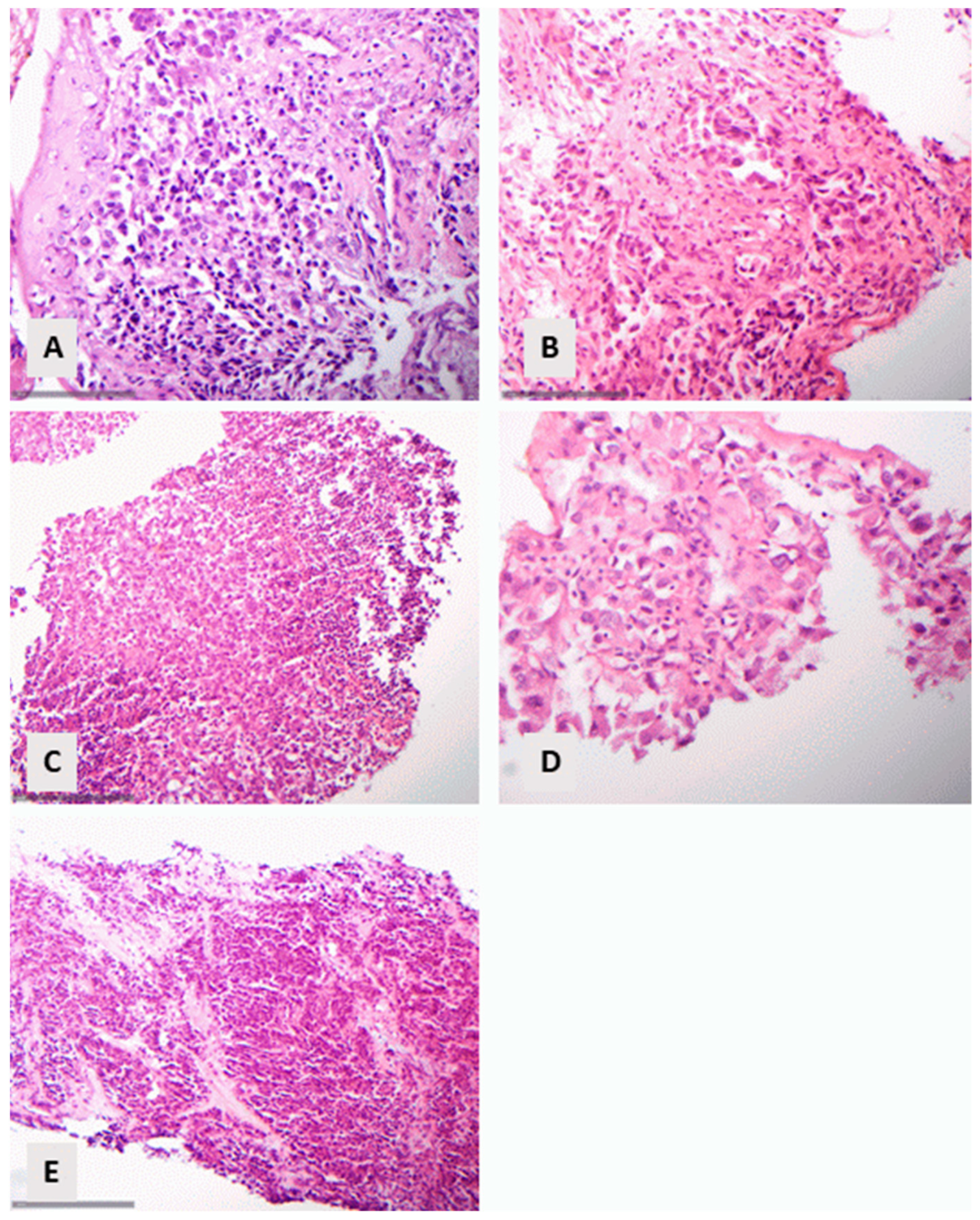 Diagnostics 14 02090 g005