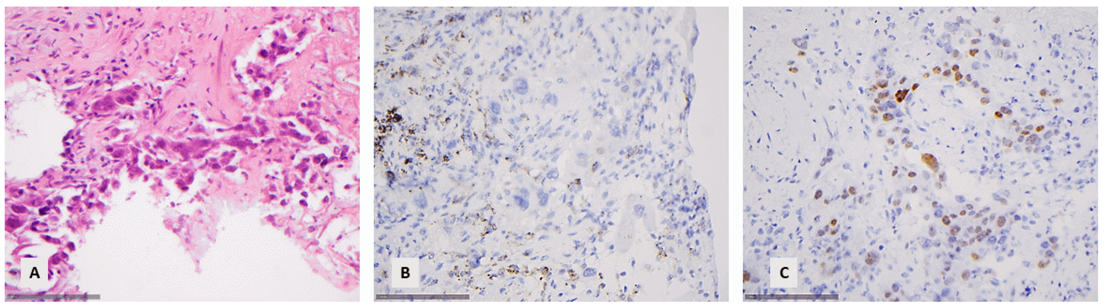 Diagnostics 14 02090 g006