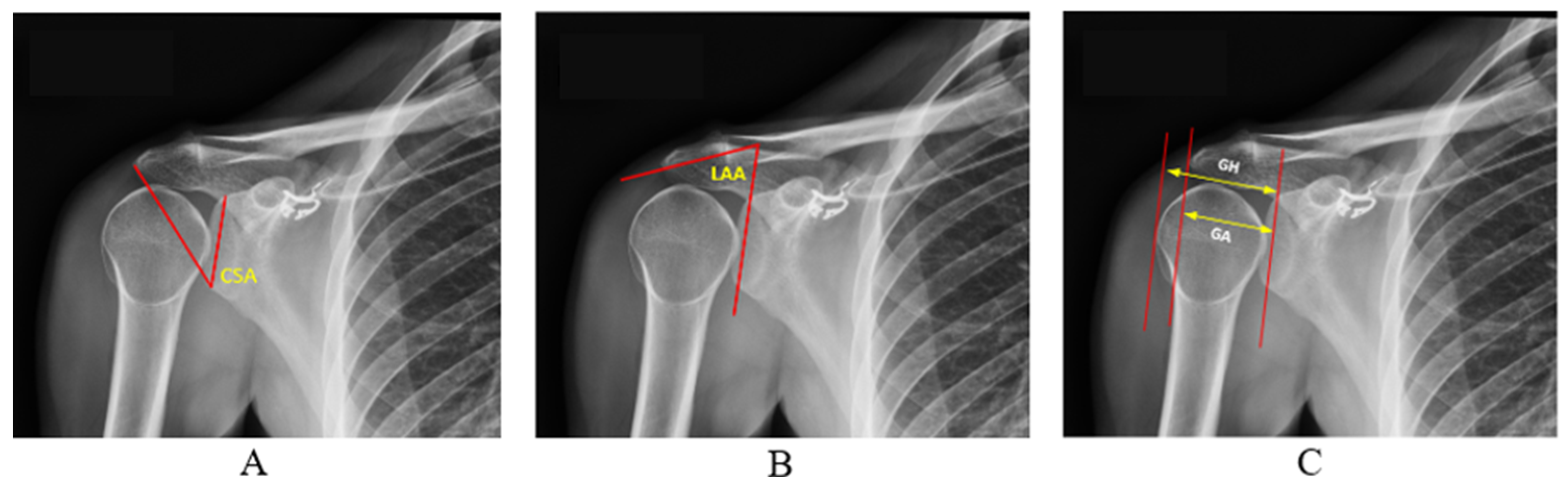 Diagnostics 14 02092 g002