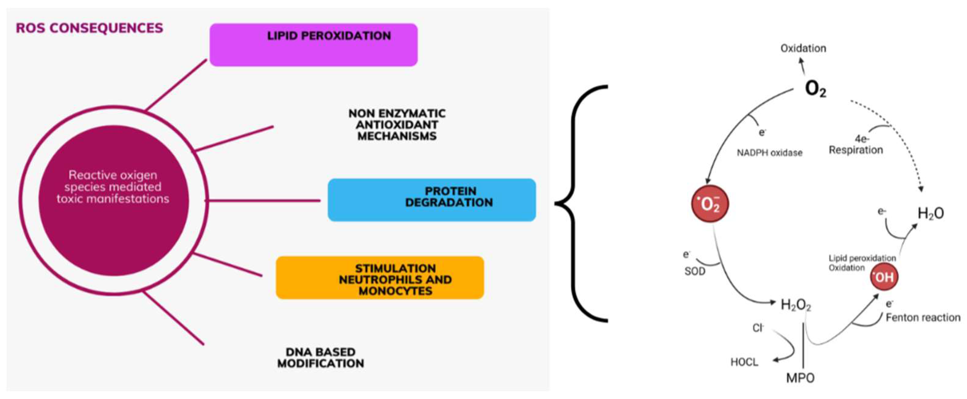 Diagnostics 14 02094 g001