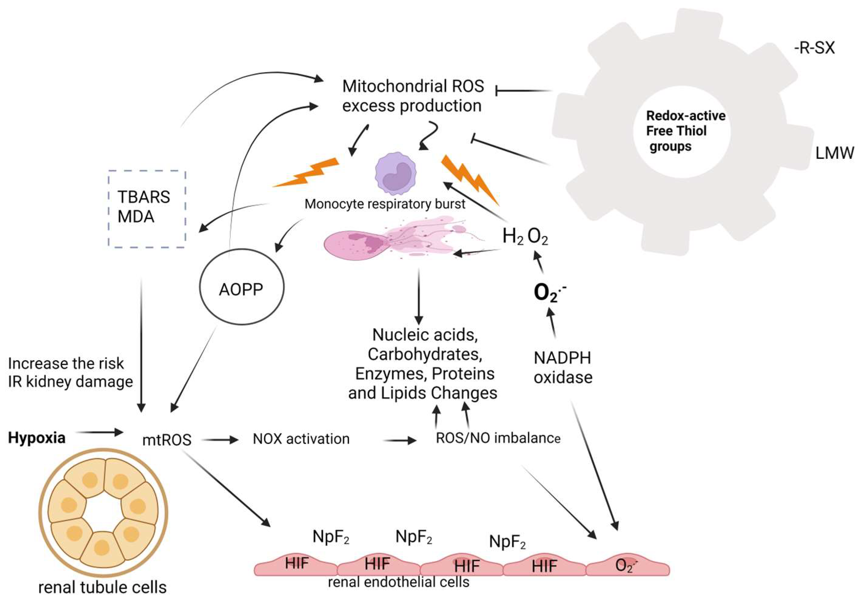 Diagnostics 14 02094 g002