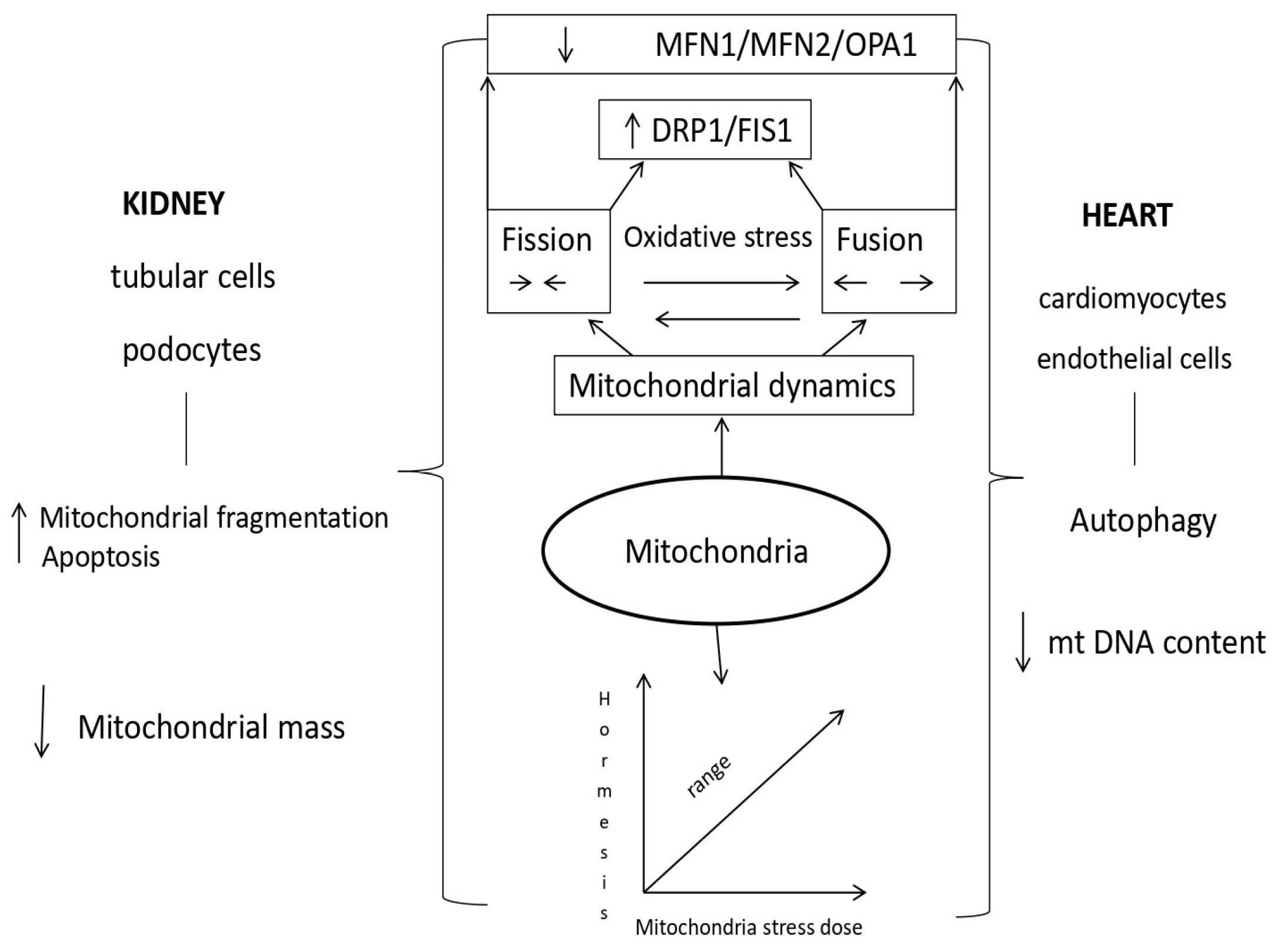 Diagnostics 14 02094 g003