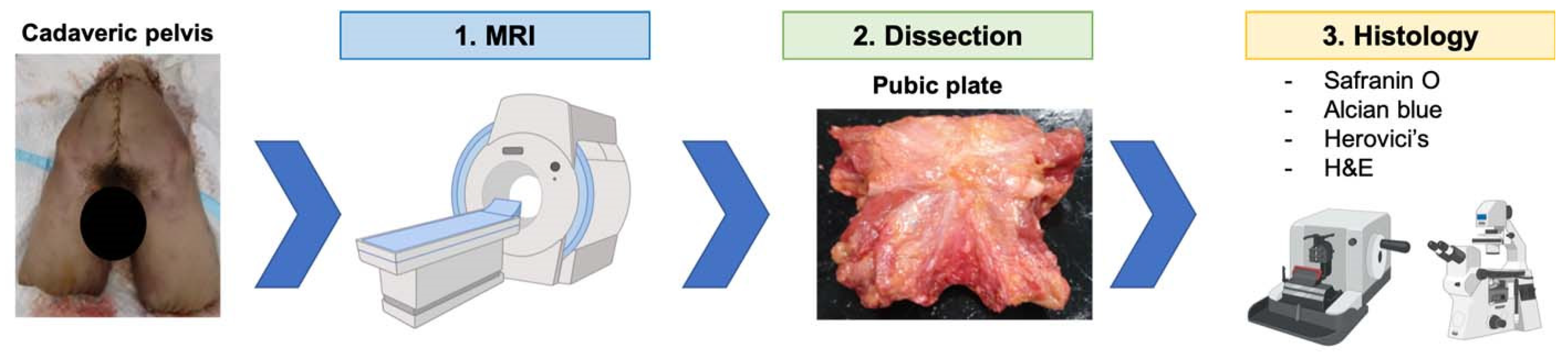 Diagnostics 14 02098 g001