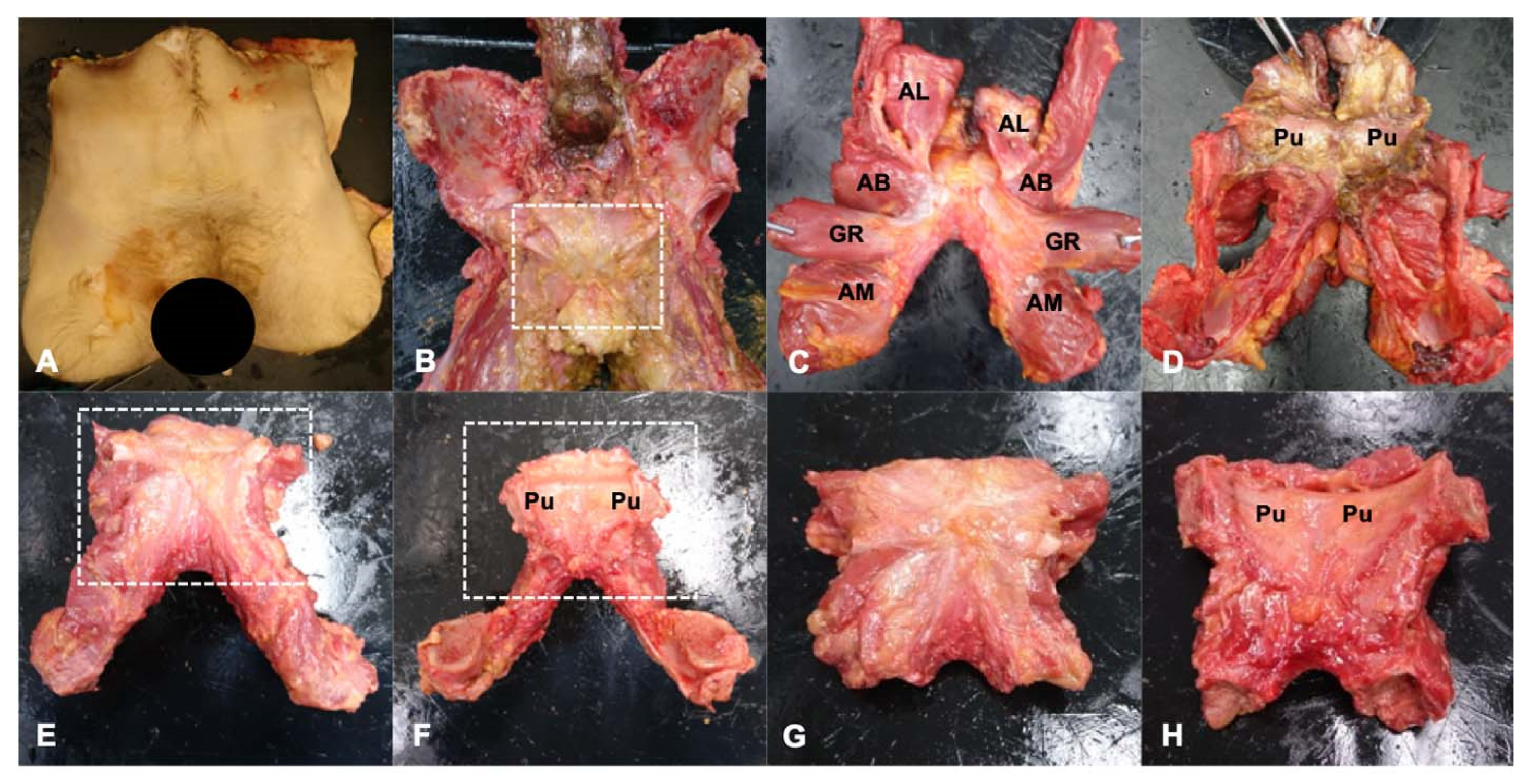 Diagnostics 14 02098 g002