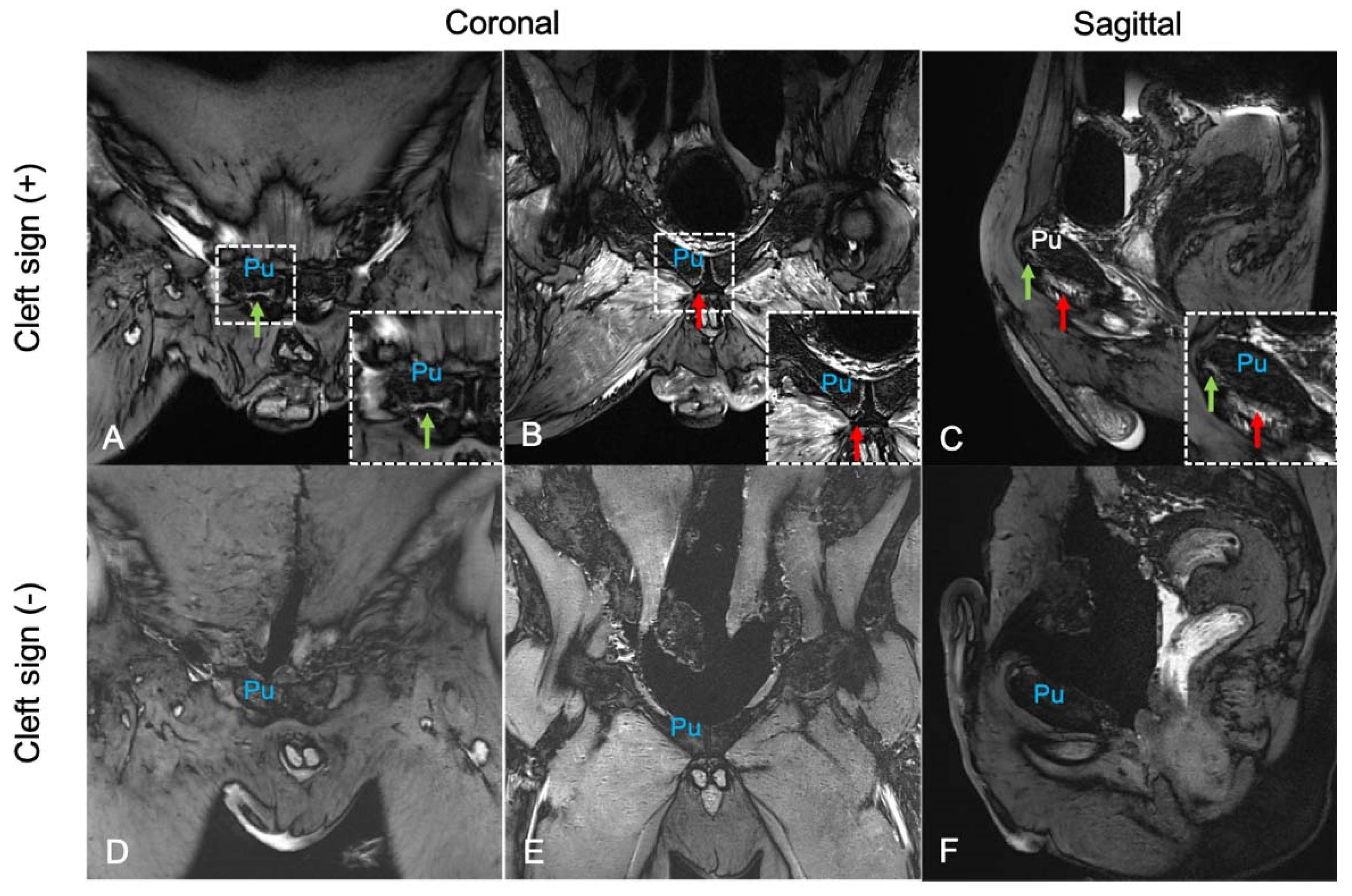 Diagnostics 14 02098 g004