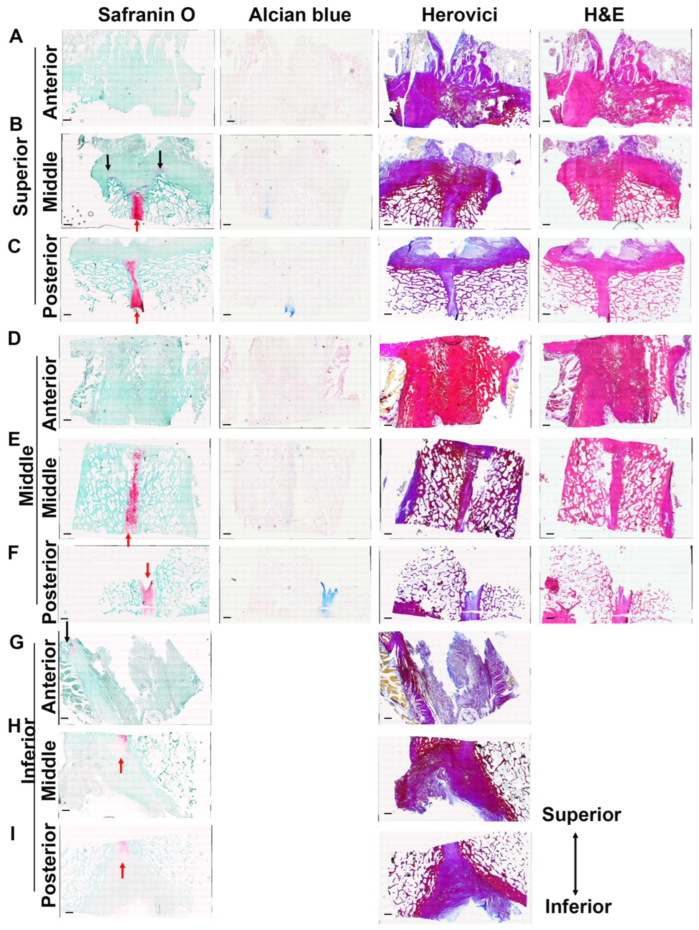 Diagnostics 14 02098 g008