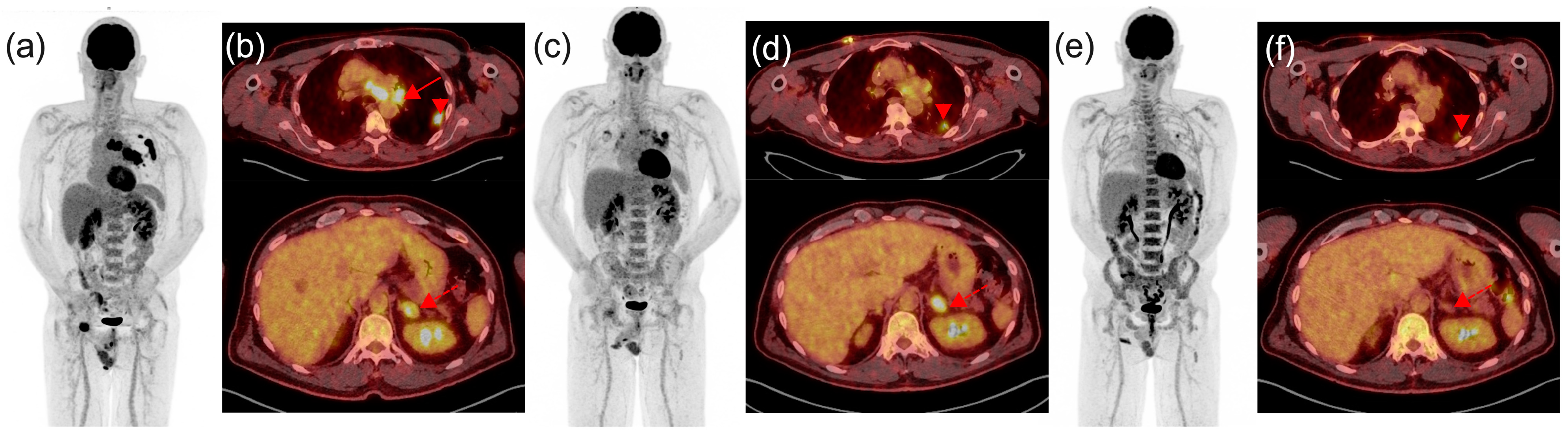 Diagnostics 14 02104 g003