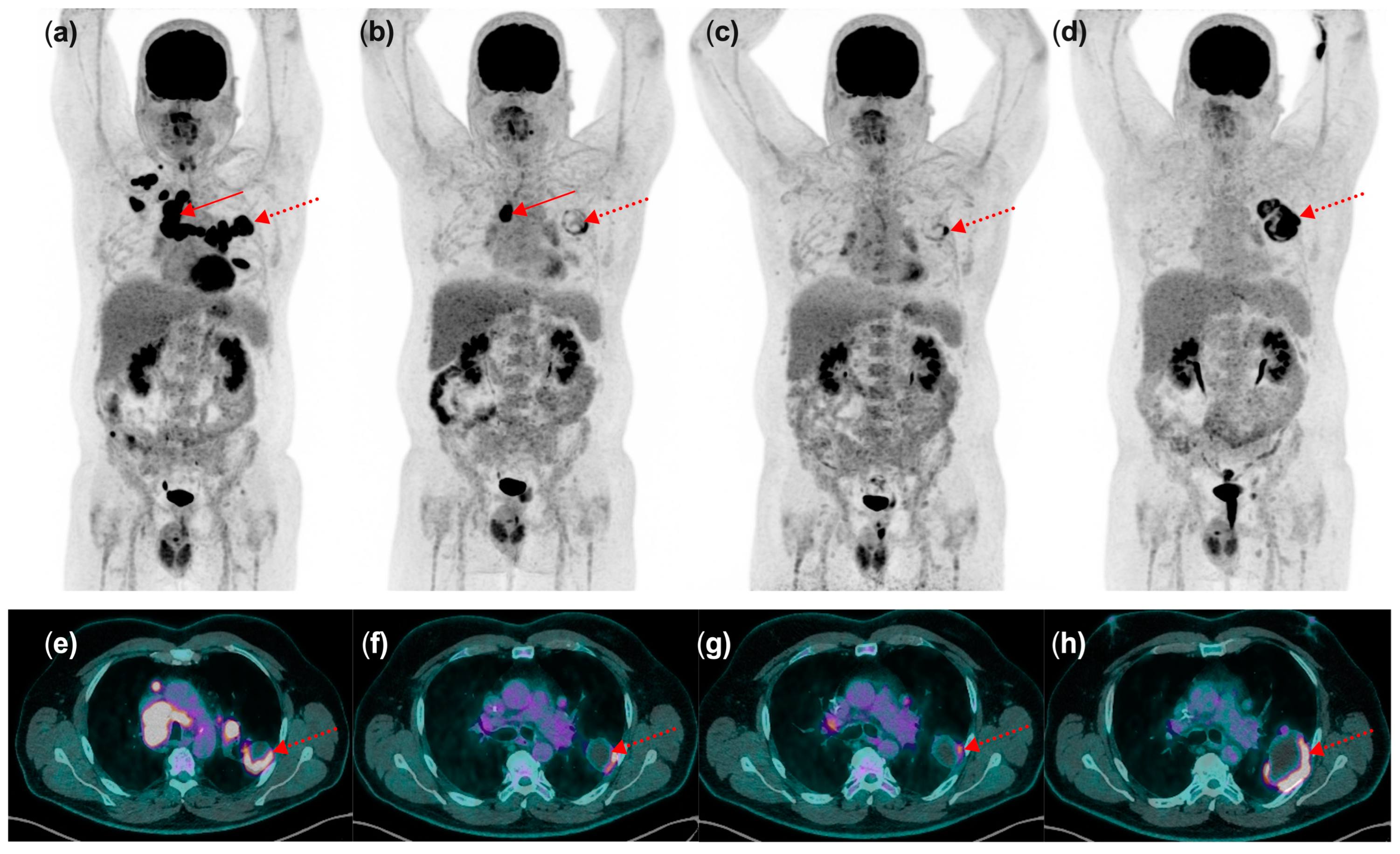 Diagnostics 14 02104 g004