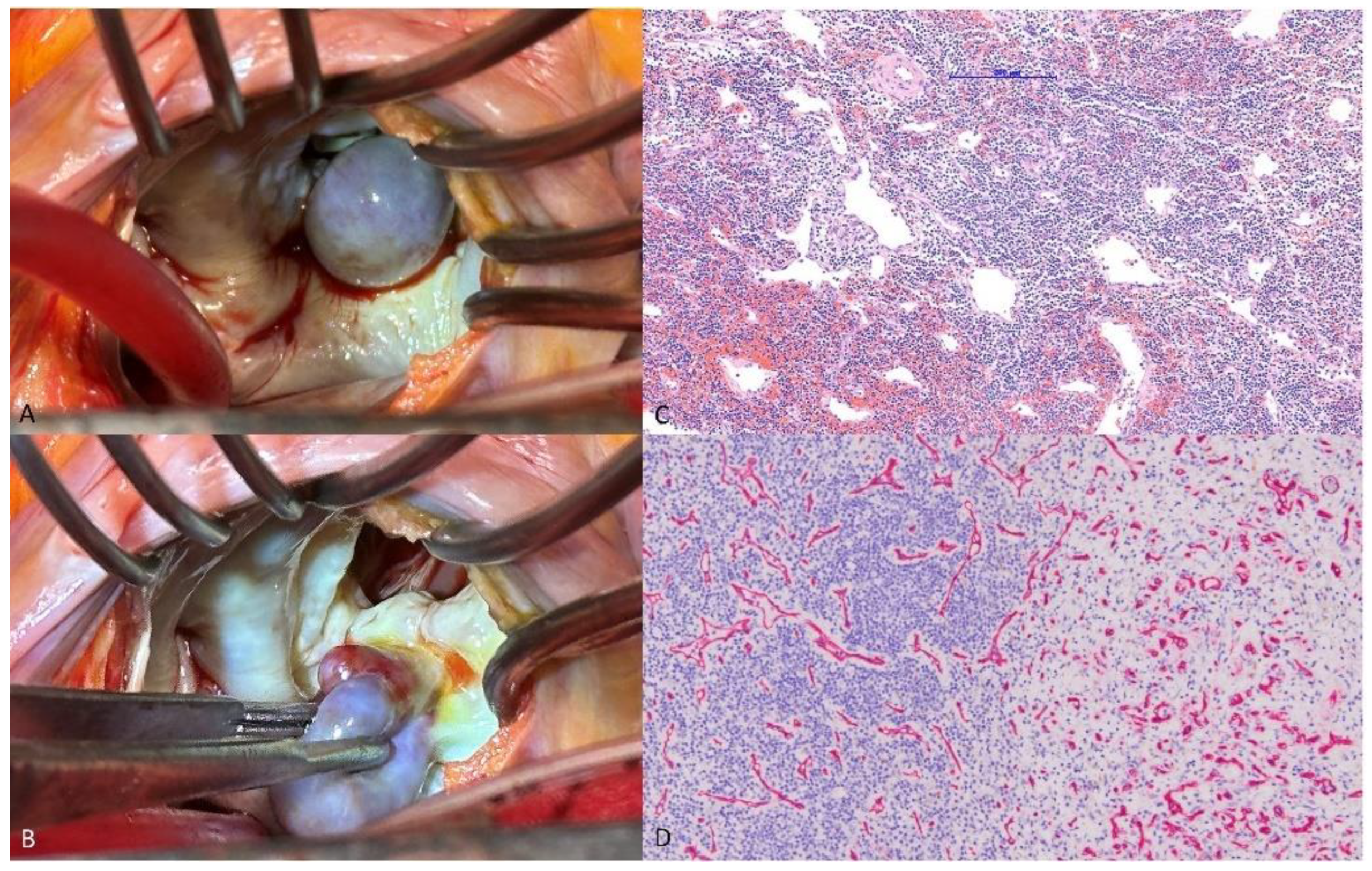 Diagnostics 14 02109 g002