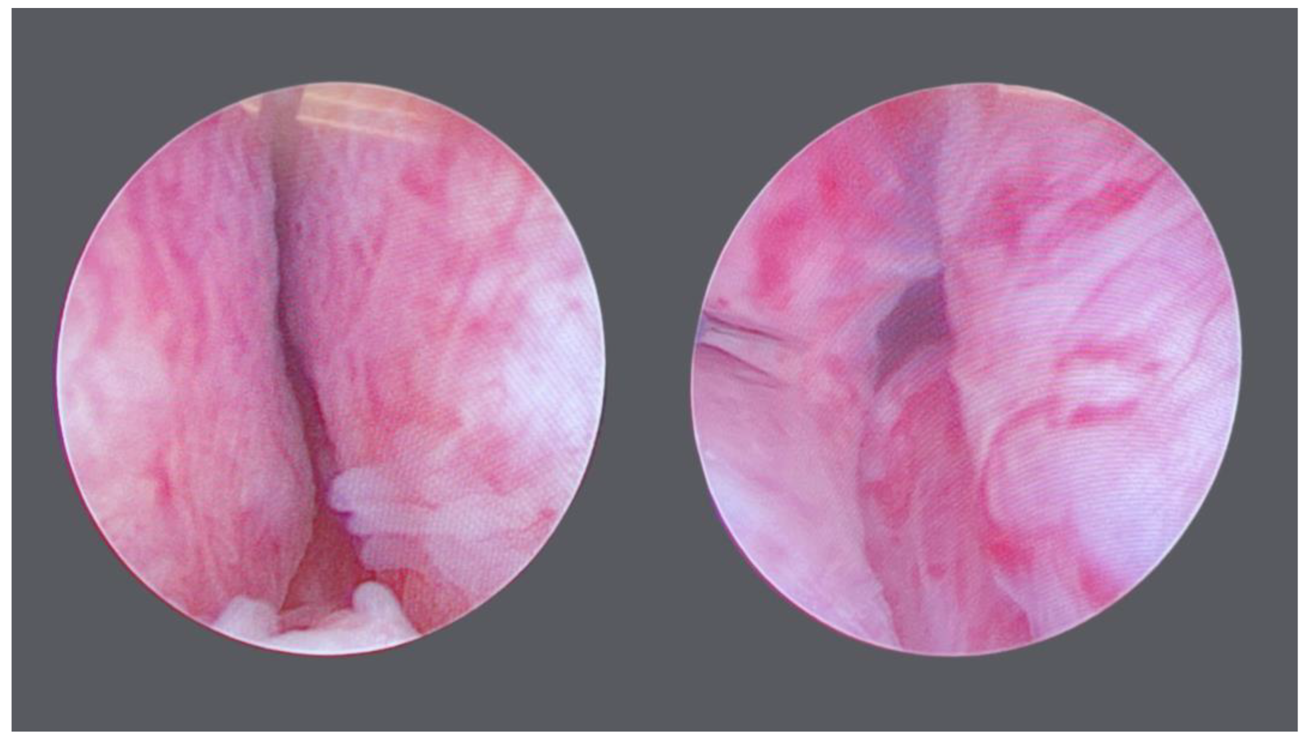 Diagnostics 14 02110 g002