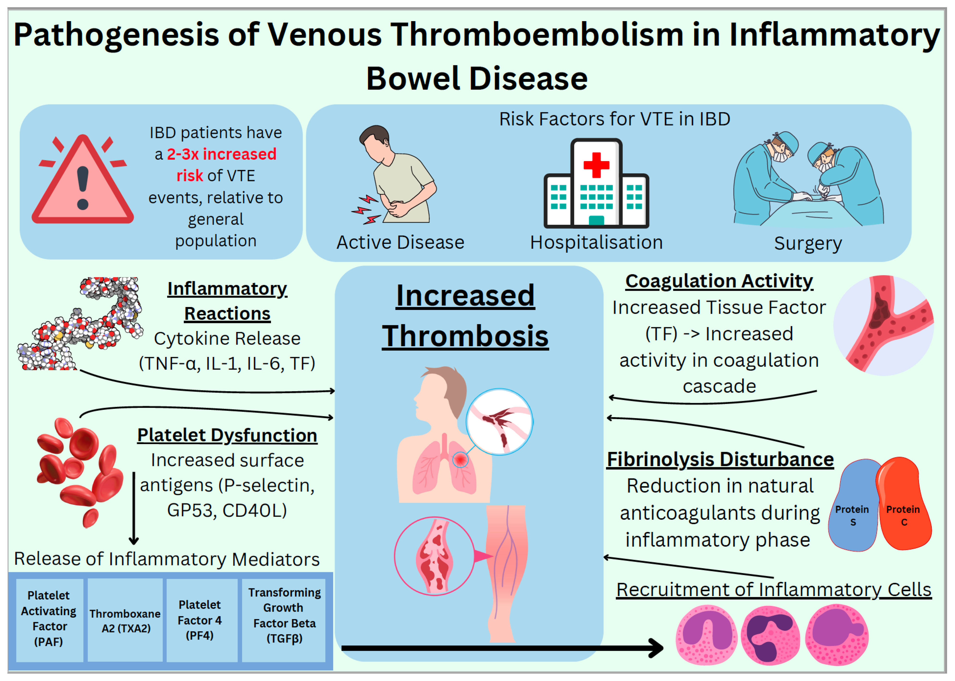 Diagnostics 14 02112 g001