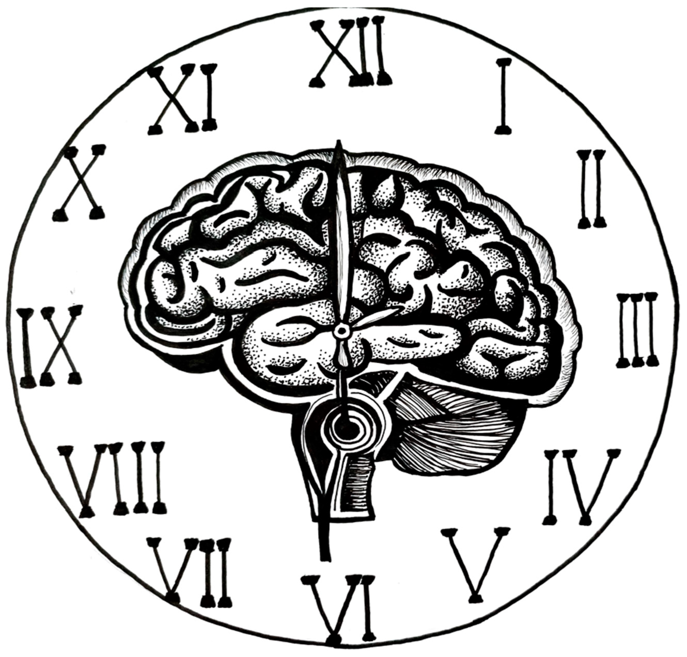 Diagnostics 14 02113 g001