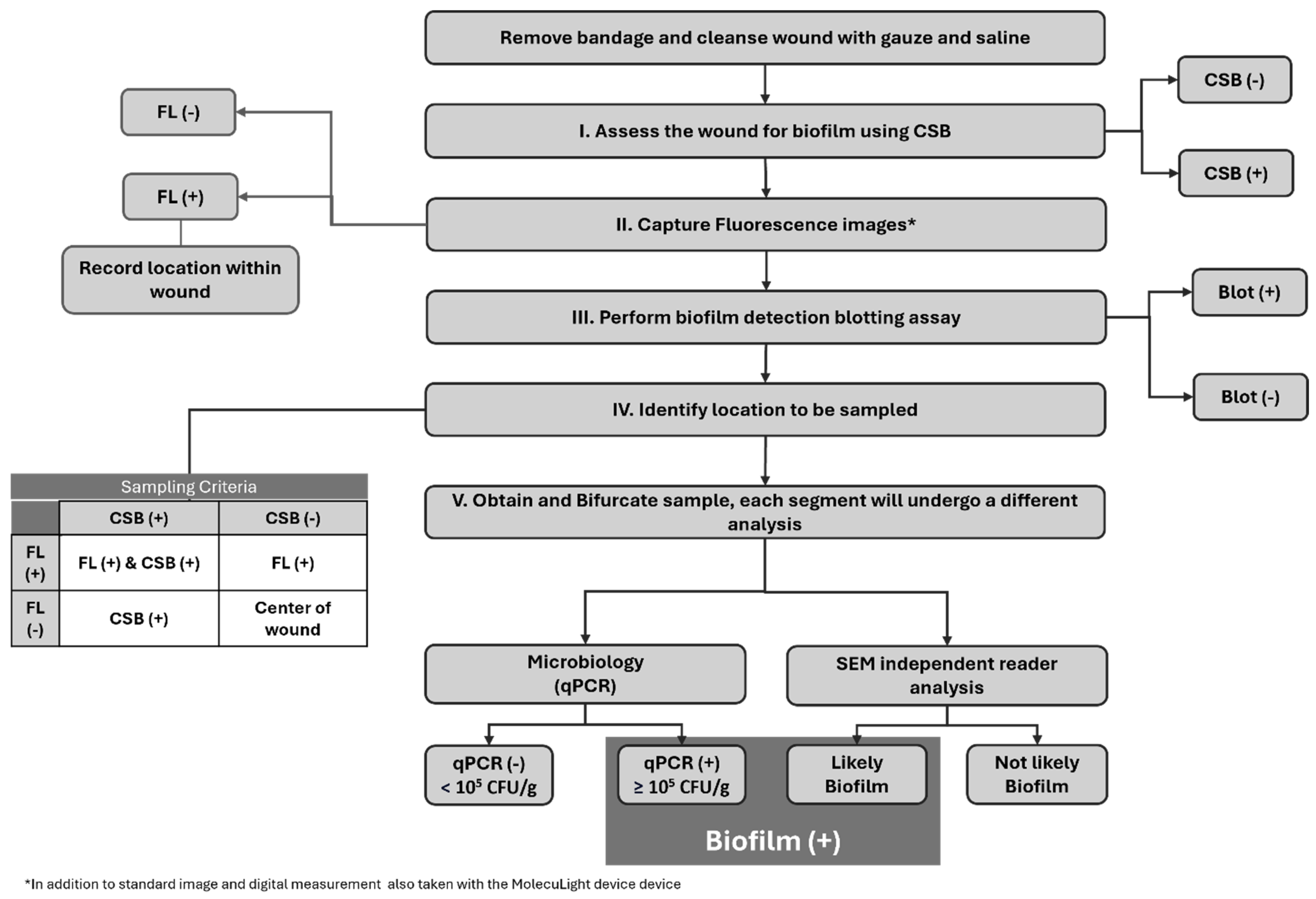 Diagnostics 14 02116 g001