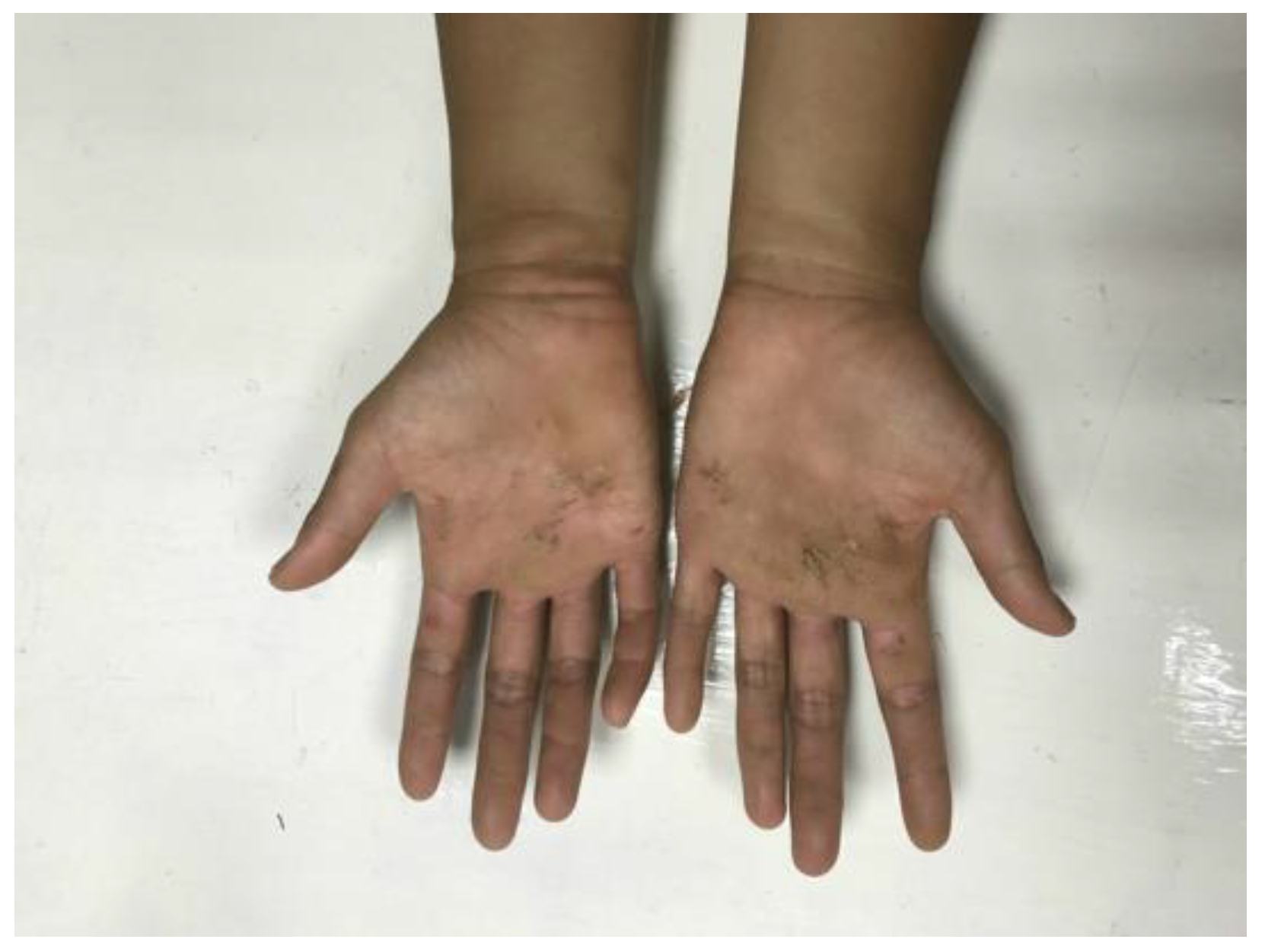 Diagnostics 14 02120 g001