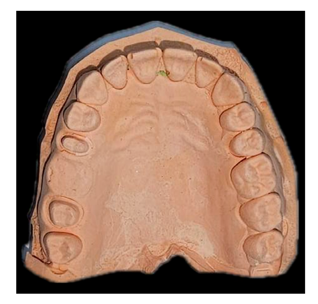 Diagnostics 14 02122 g002