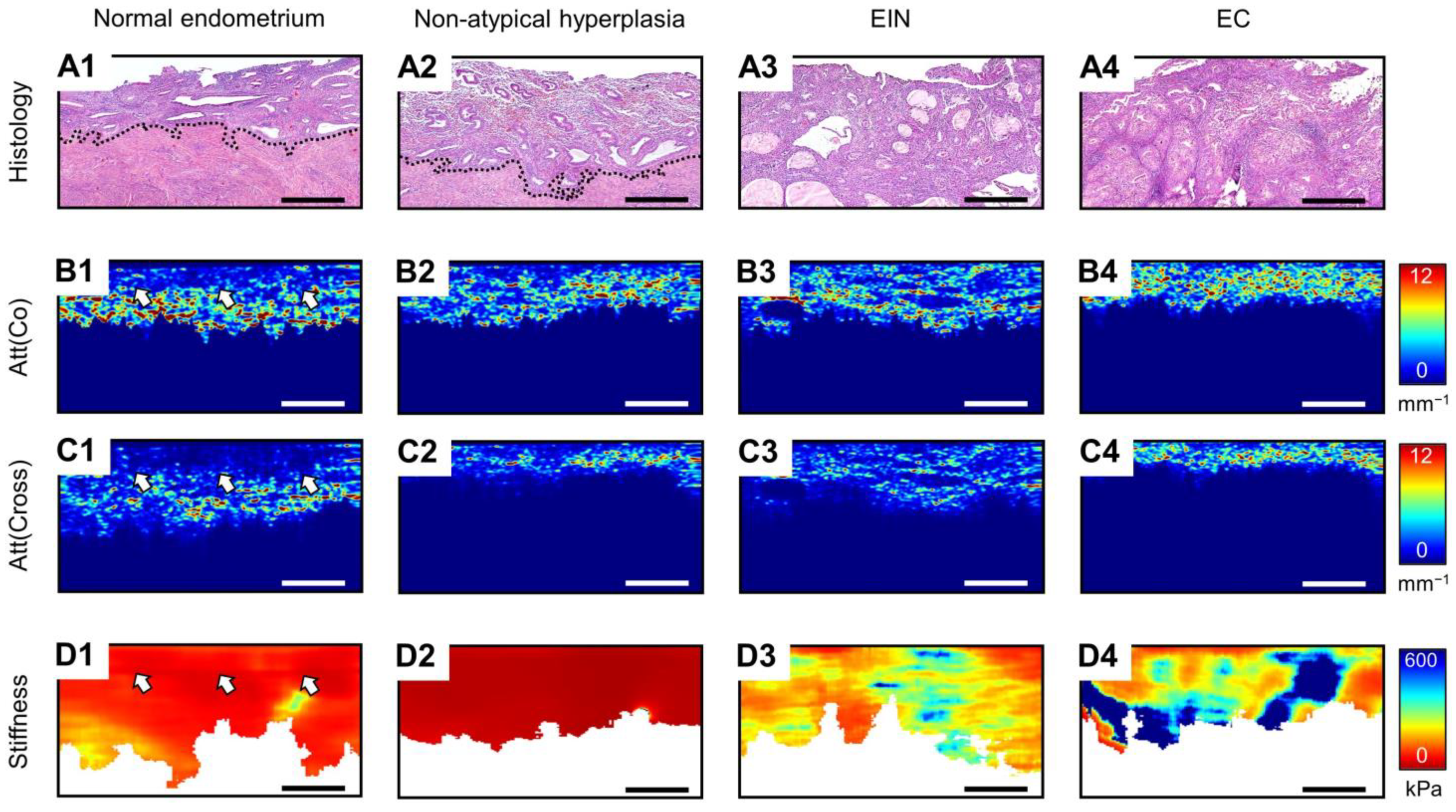 Diagnostics 14 02131 g001