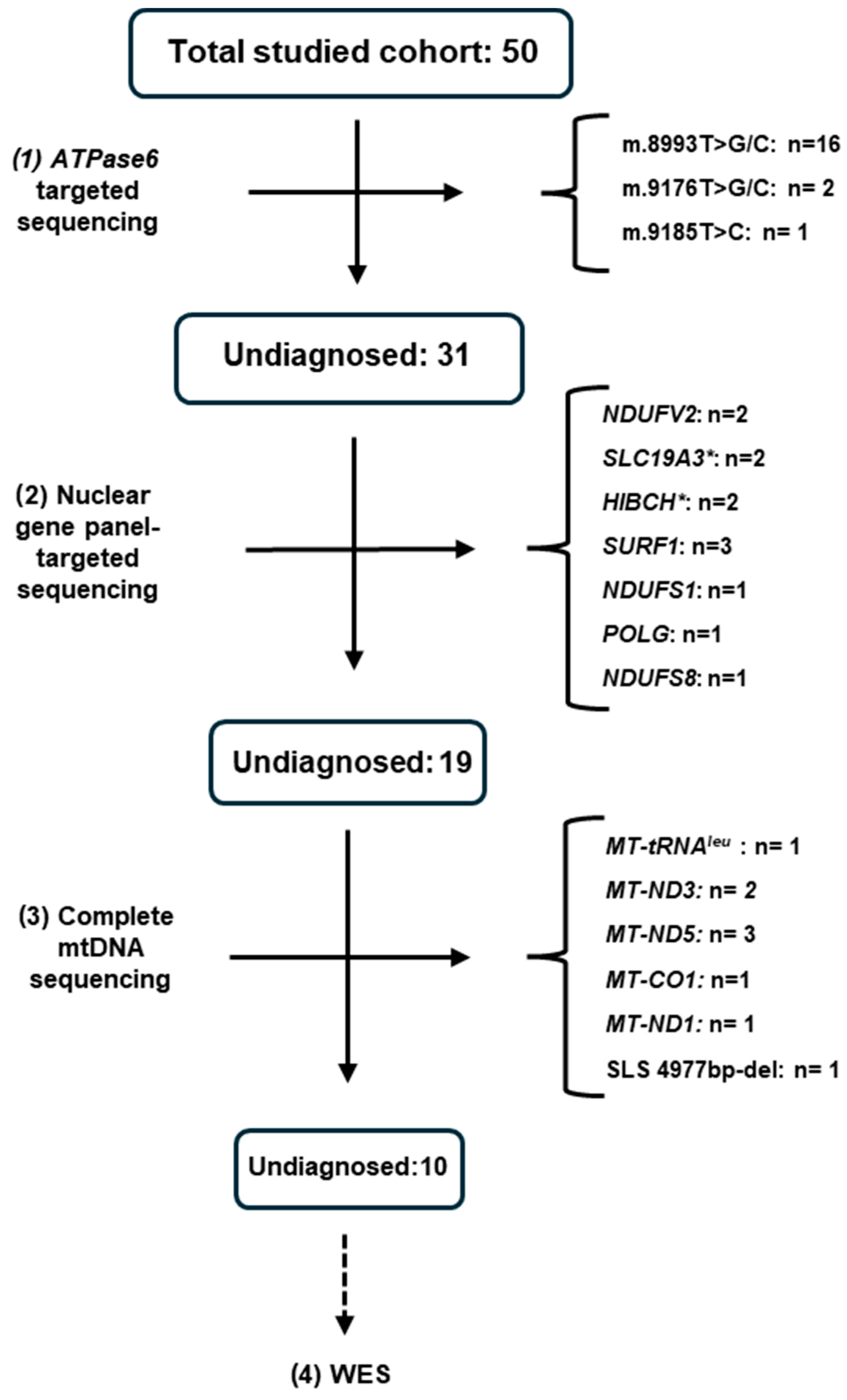 Diagnostics 14 02133 g002