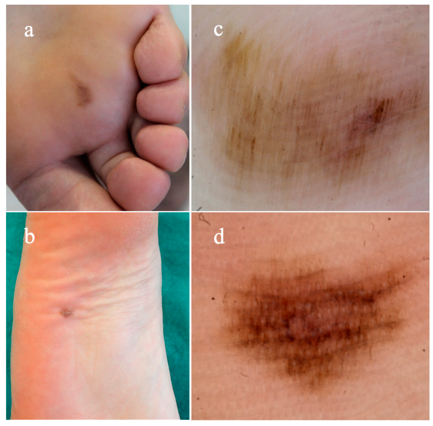 Diagnostics 14 02134 g001