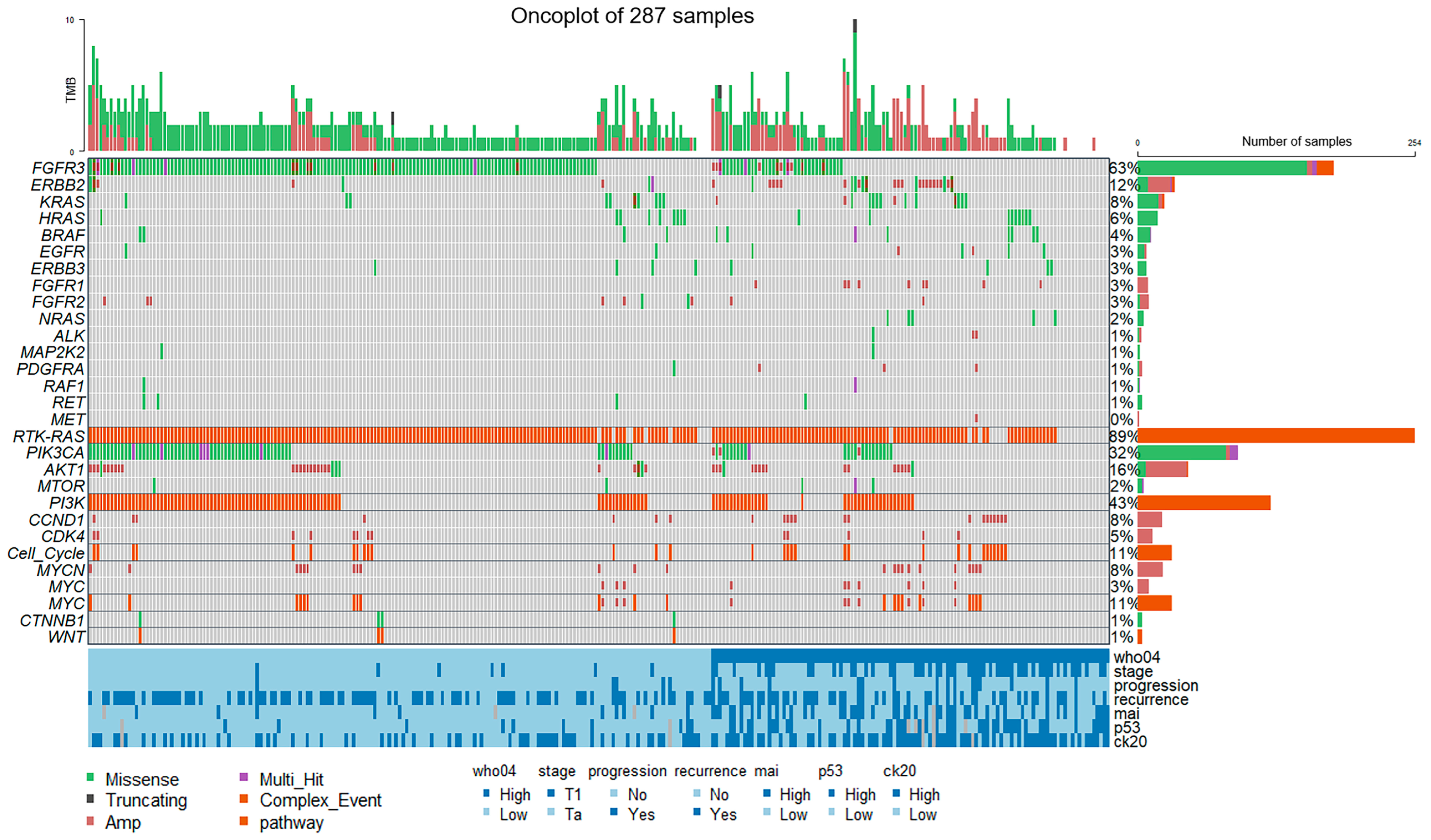 Diagnostics 14 02137 g003