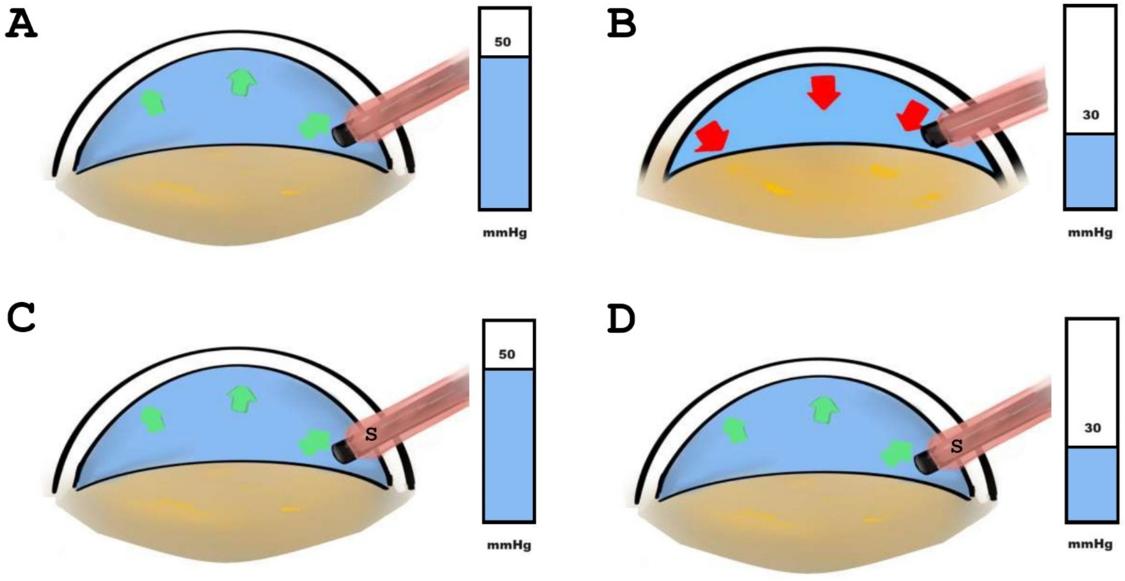 Diagnostics 14 02141 g001