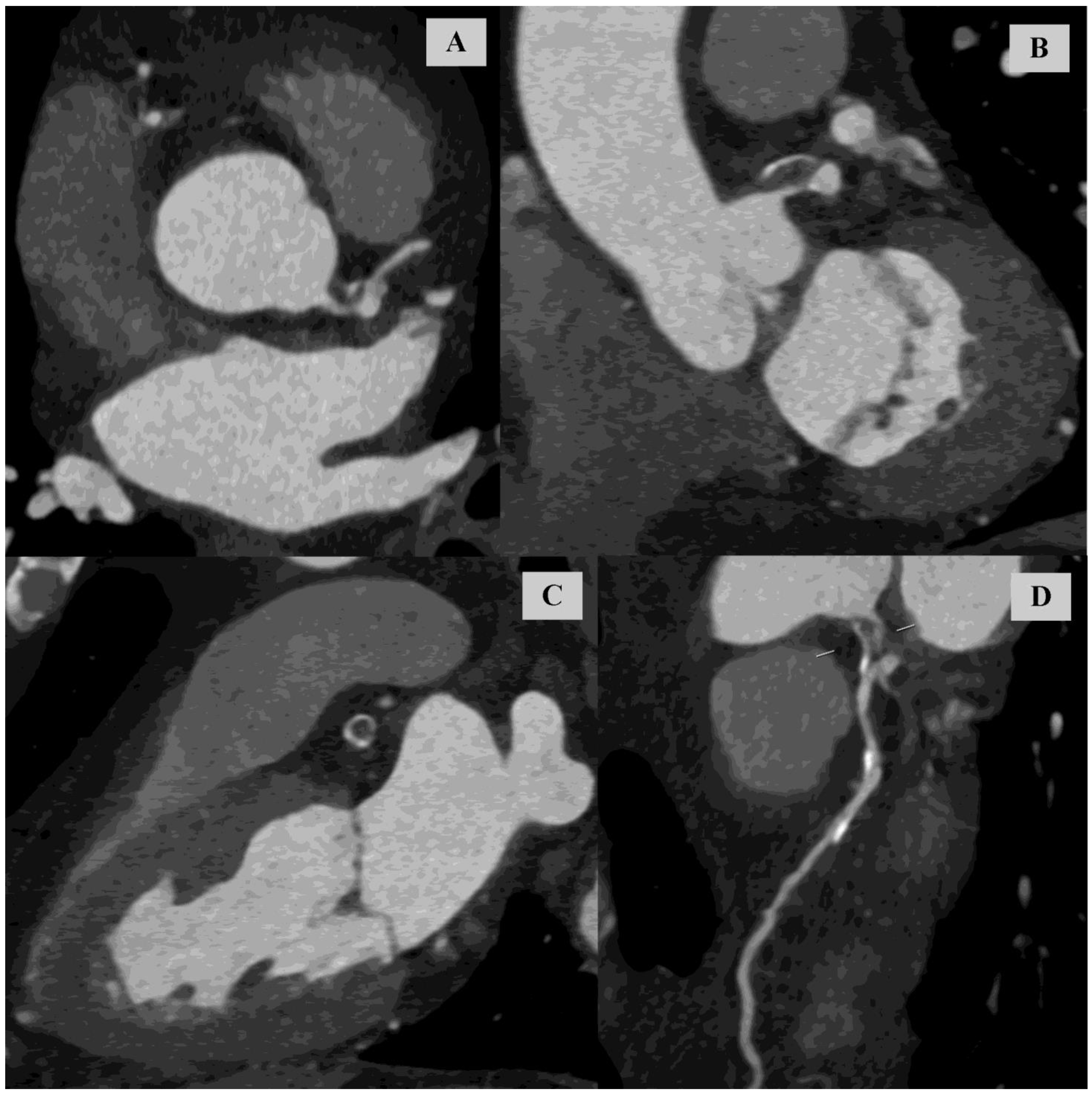 Diagnostics 14 02142 g002