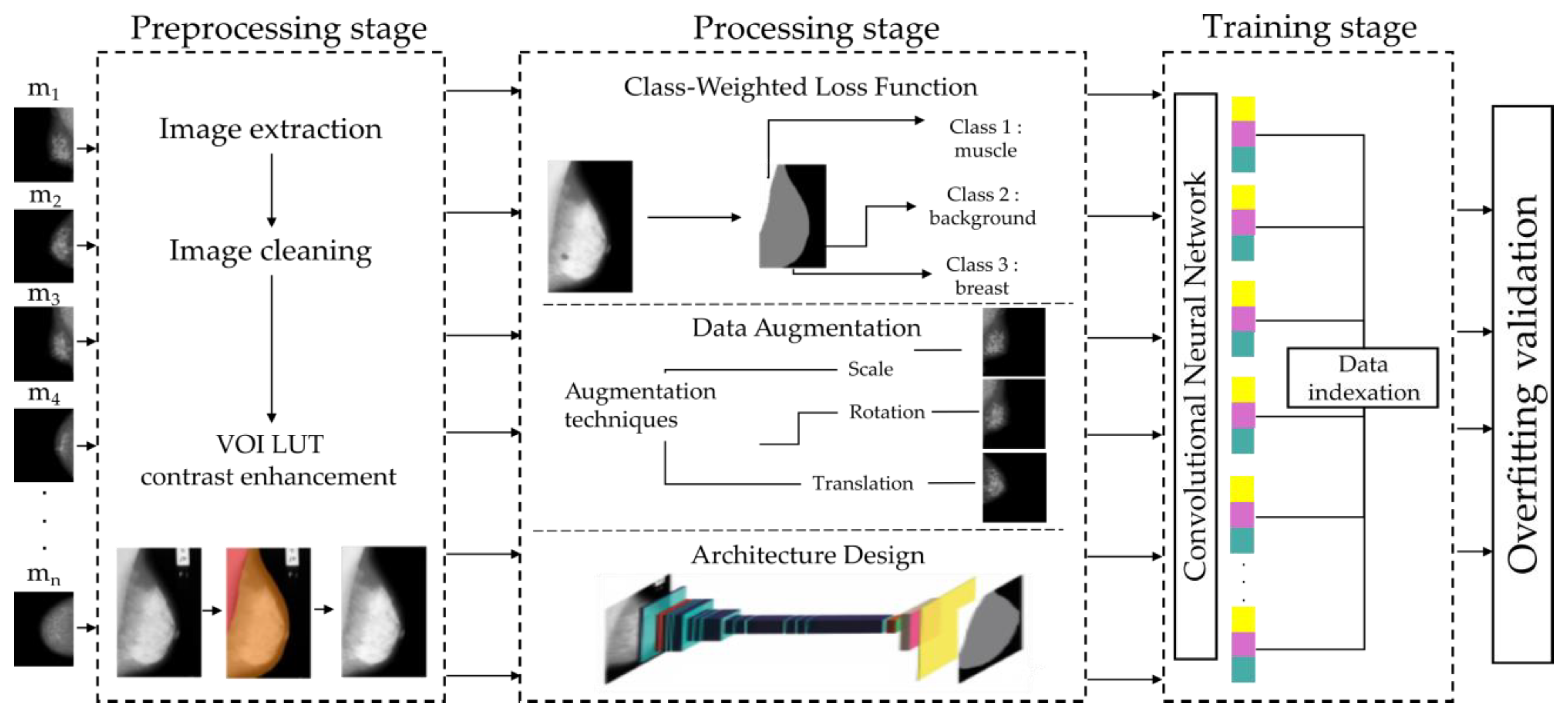 Diagnostics 14 02144 g001