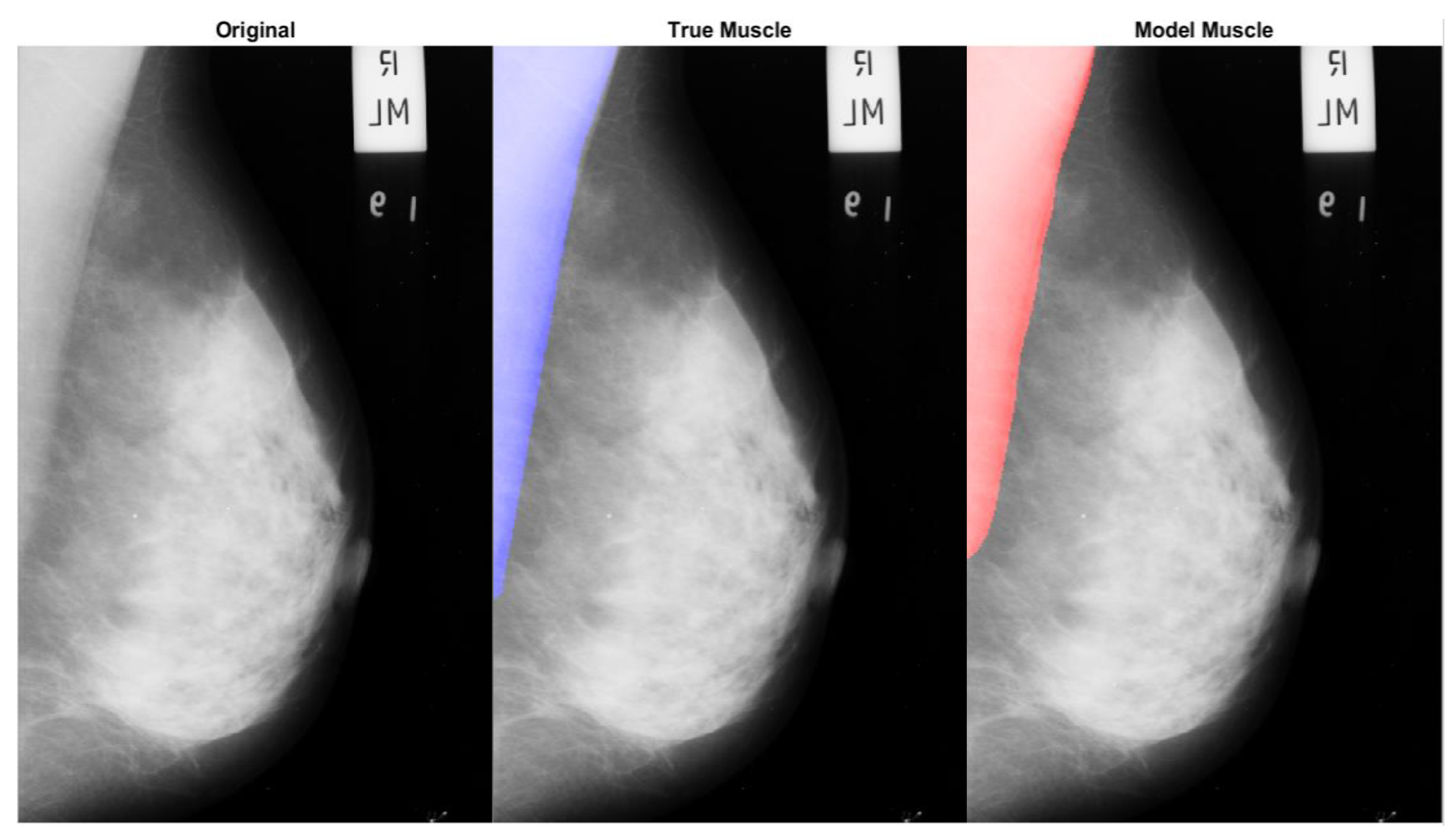 Diagnostics 14 02144 g009