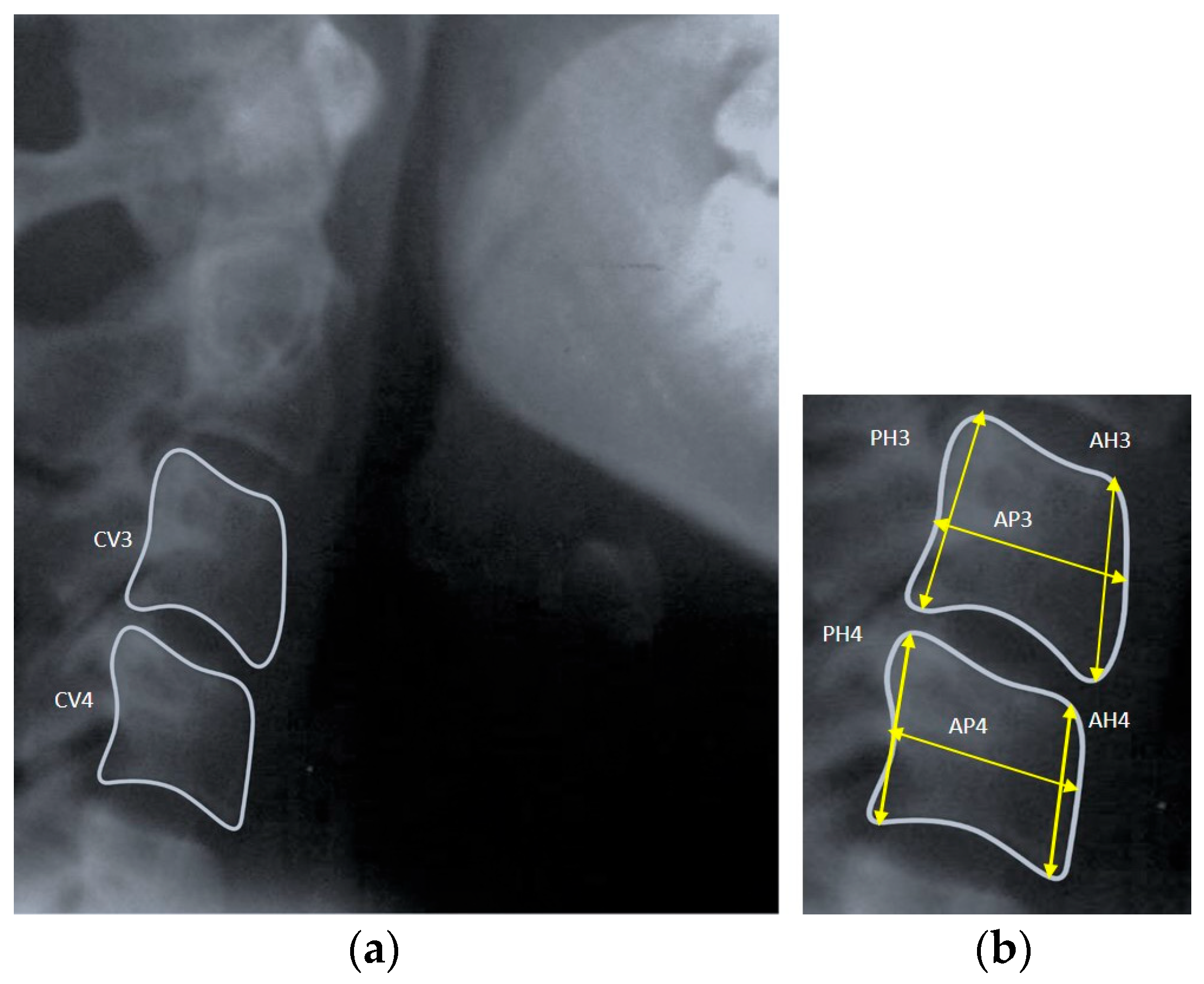 Diagnostics 14 02145 g001 Diagnostics 14 02145 g001
