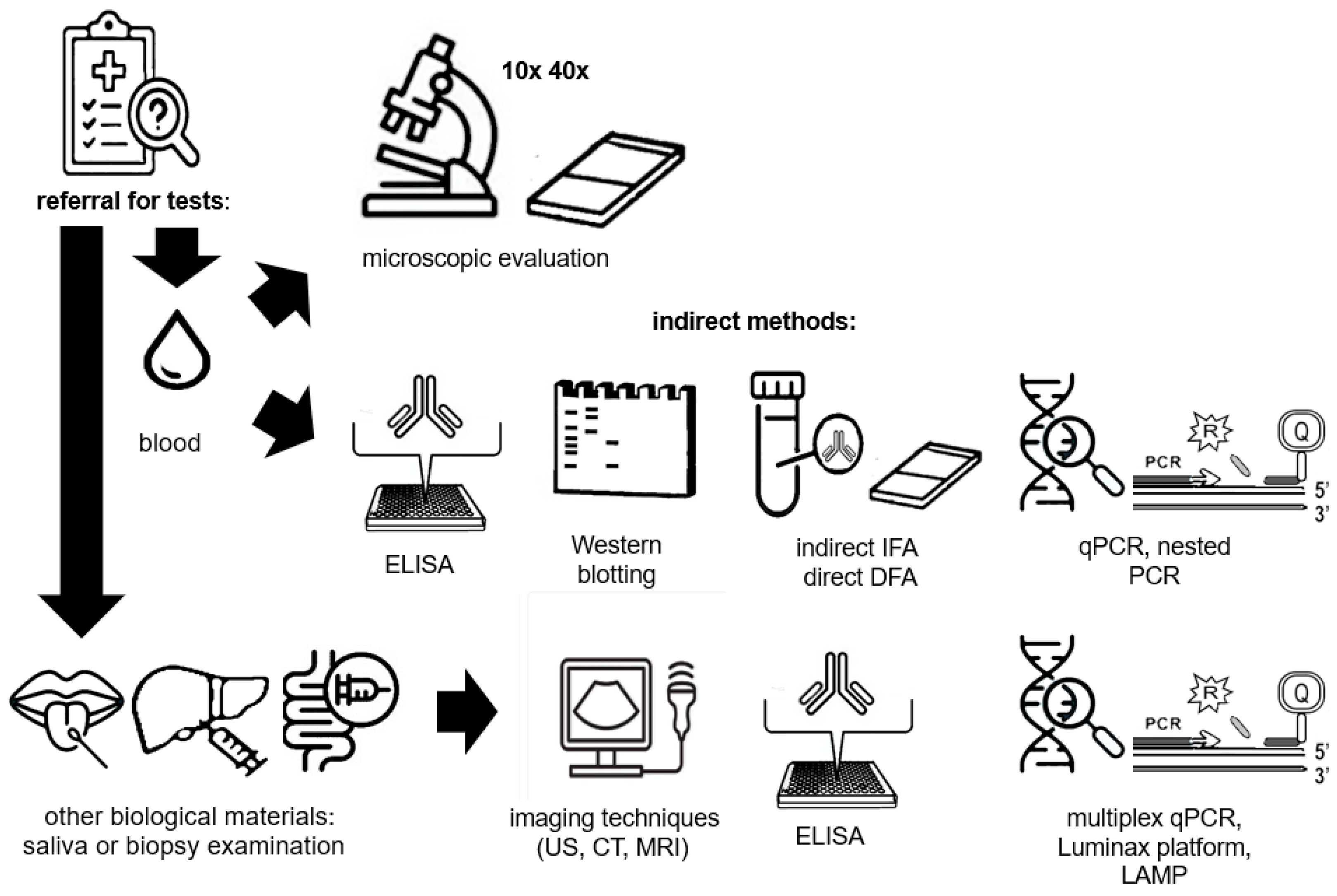 Diagnostics 14 02148 g003 Diagnostics 14 02148 g003